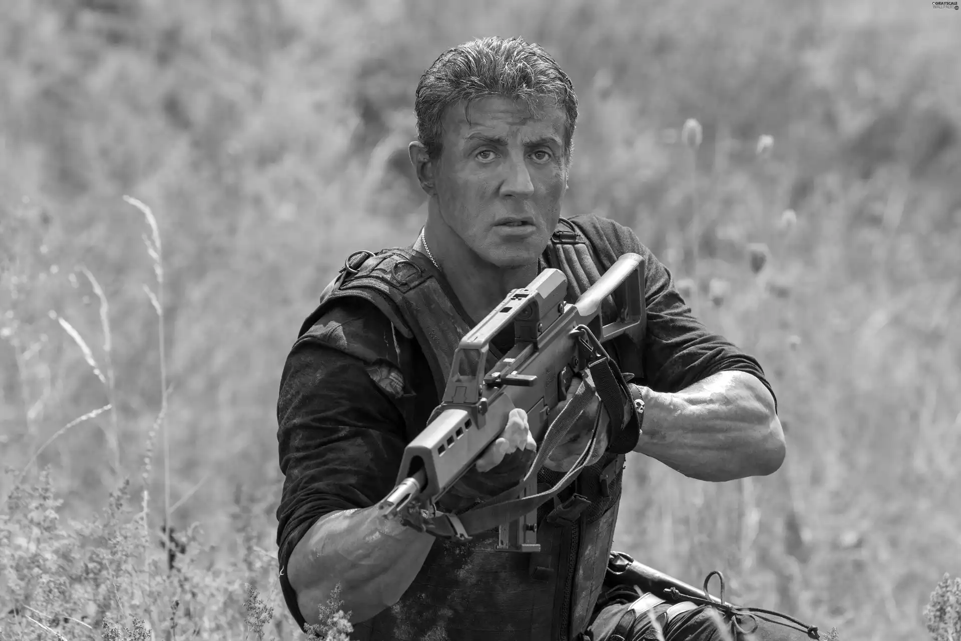 The Expendables 3, actor, Sylvester Stallone