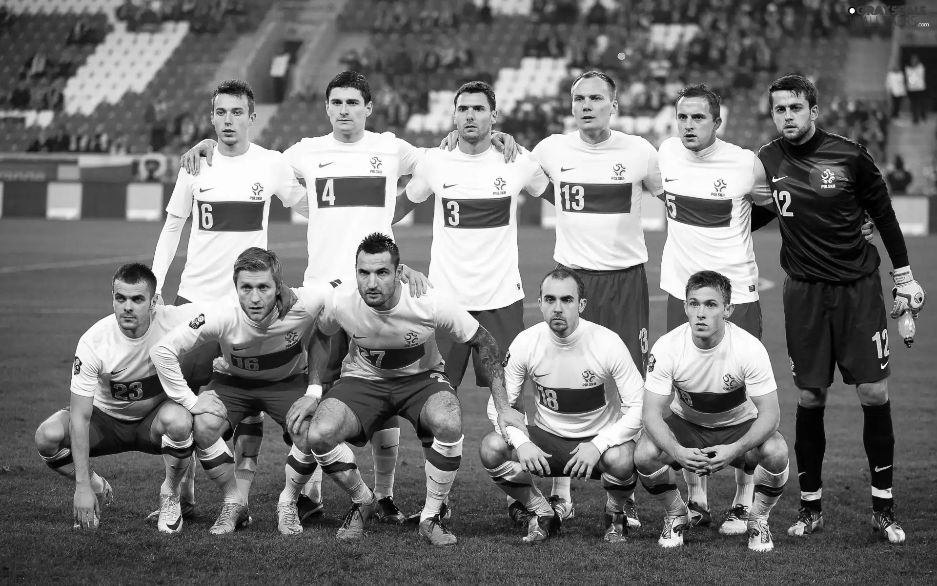 Euro 2012, Poland, team