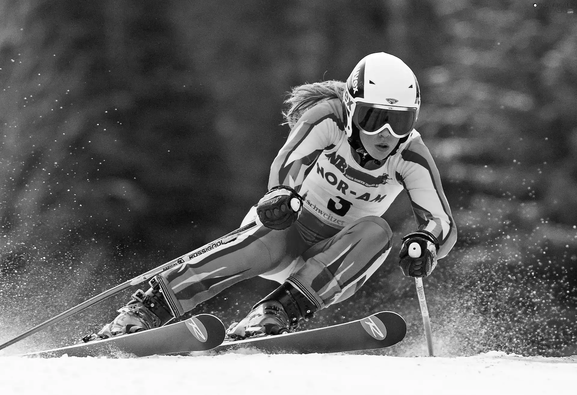 skiing, Sochi2014, The athlete
