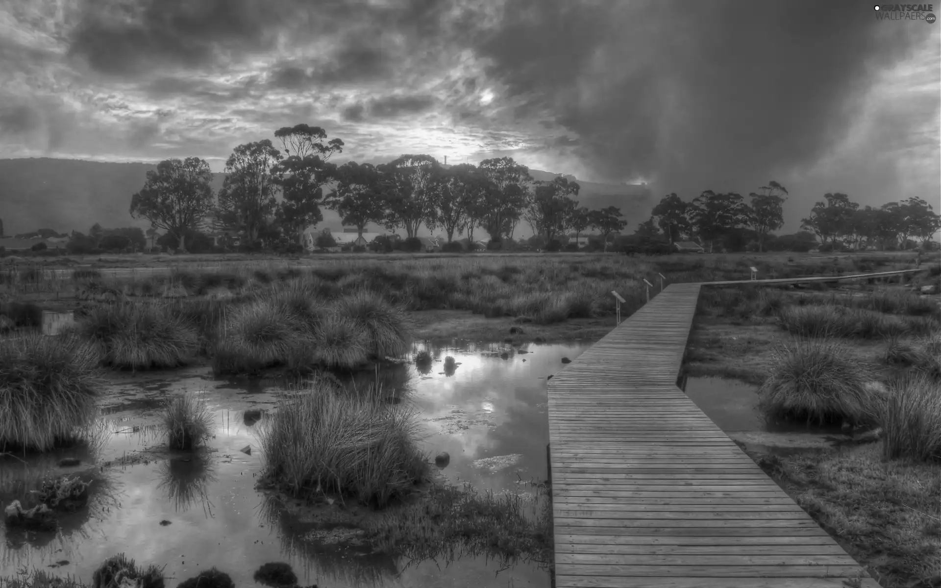 The setting, sun, by, swamp, footbridge