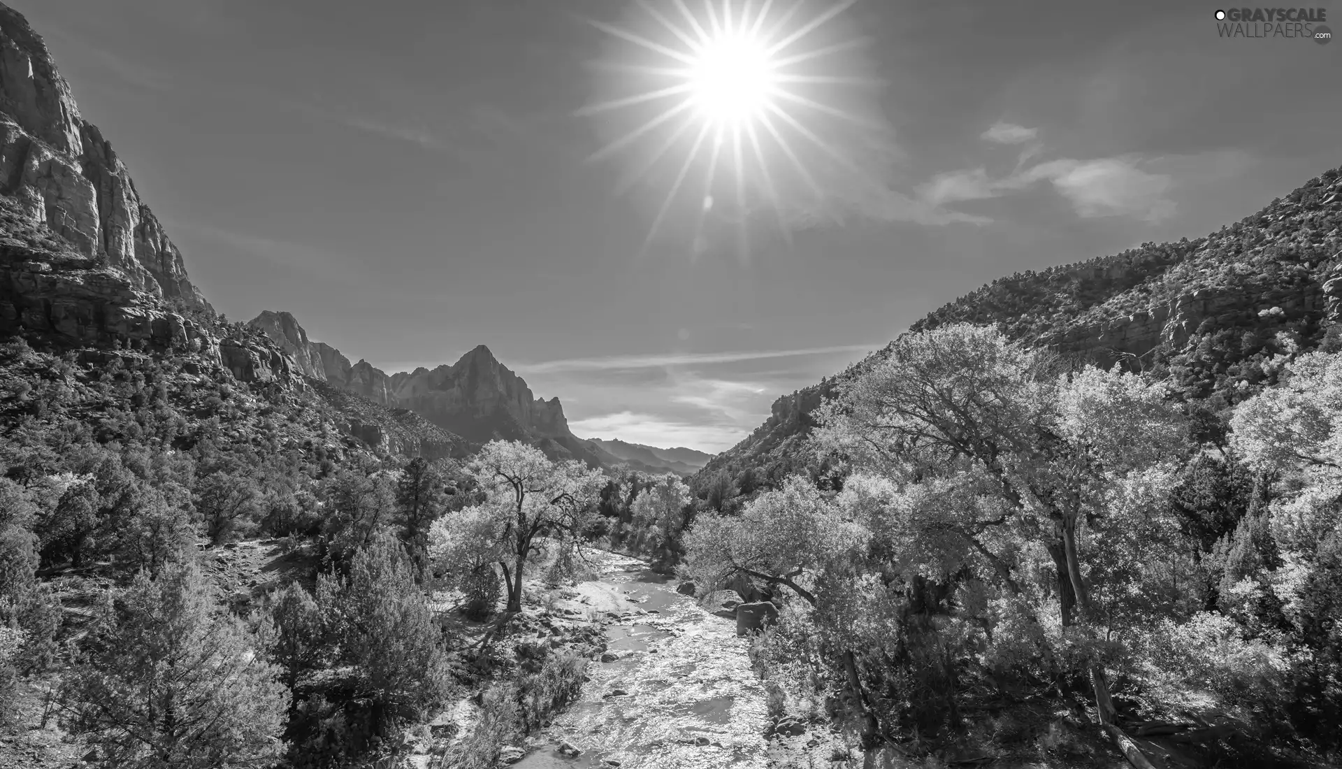 Utah State, The United States, Zion National Park, Watchman Mountains, viewes, rays of the Sun, Stones, trees, Virgin River