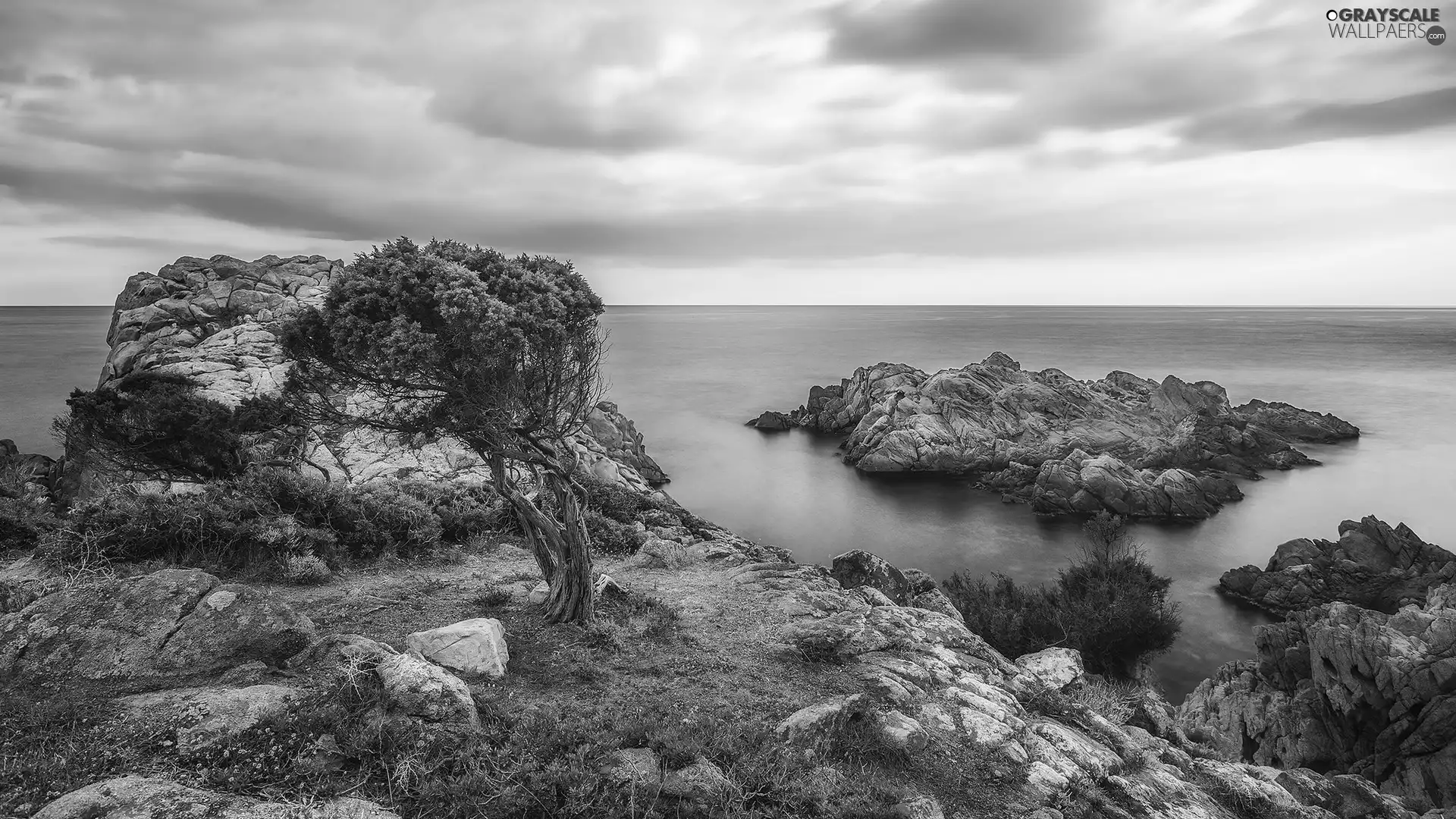 viewes, rocks, Sardynia, trees, sea, Plants, Italy