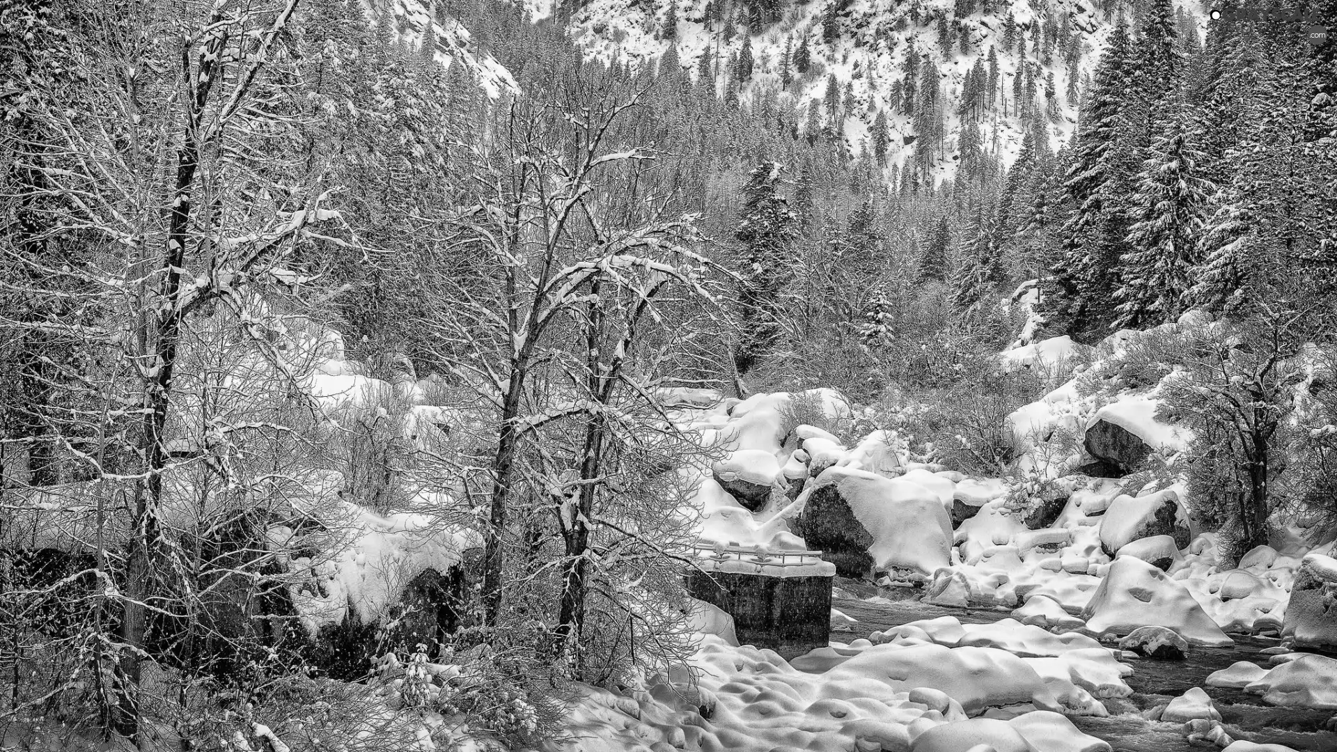 viewes, snow, Snowy, trees, winter, River, Stones