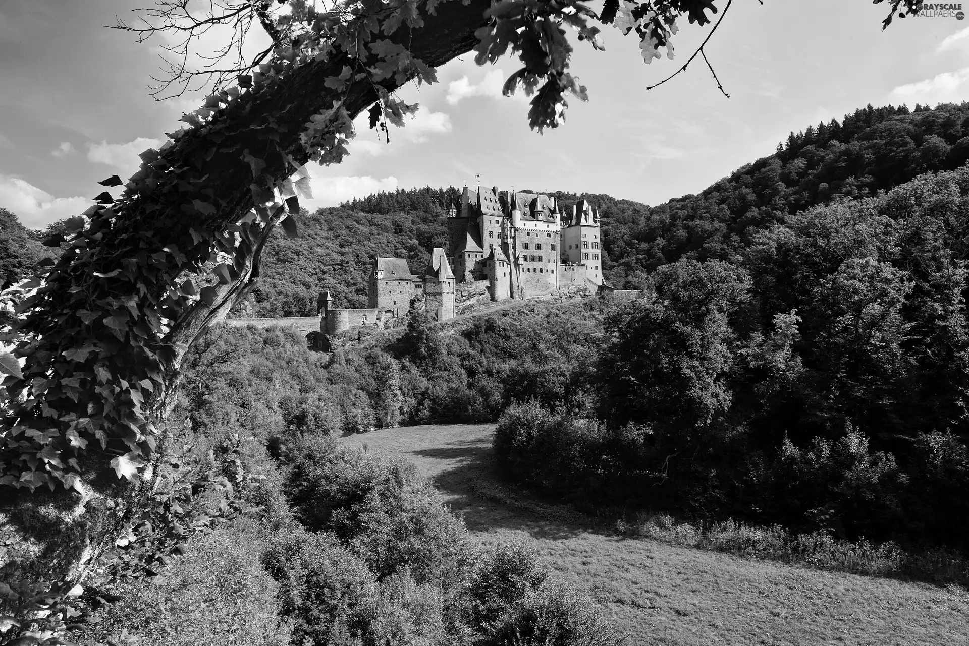 Castle, woods, trees, The Hills