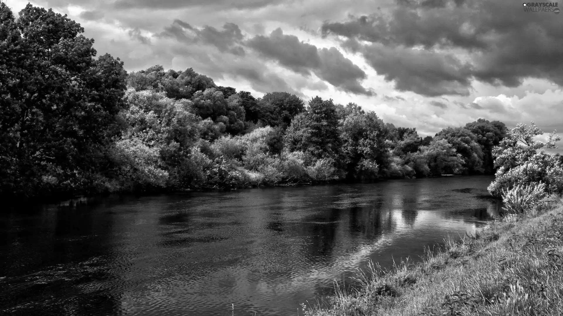 trees, viewes, River, grass, clouds
