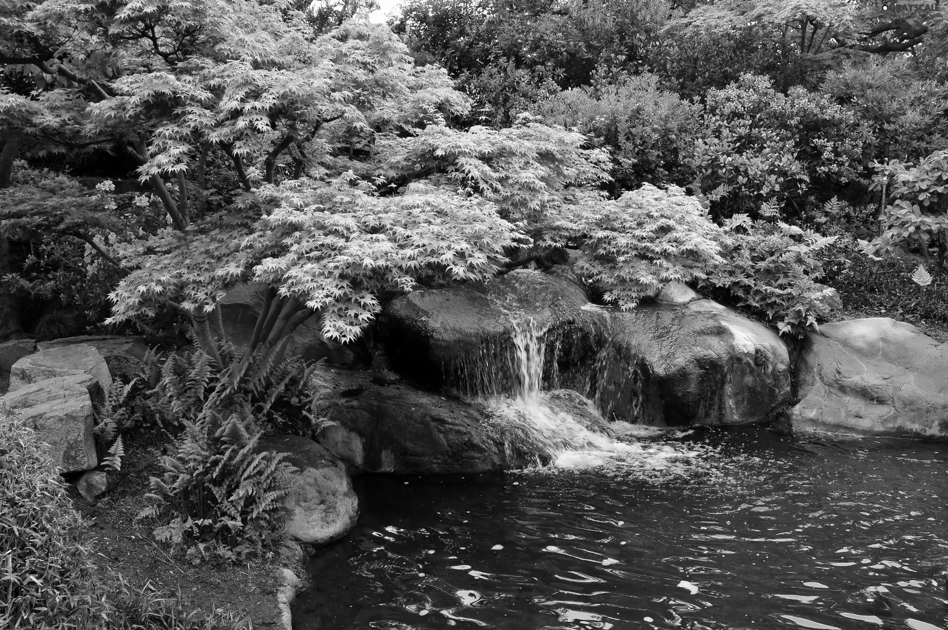 waterfall, Park, trees, viewes, rocks, small