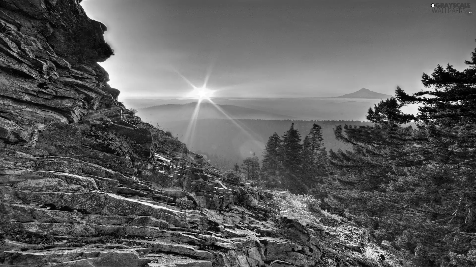 trees, viewes, sun, rocks, west