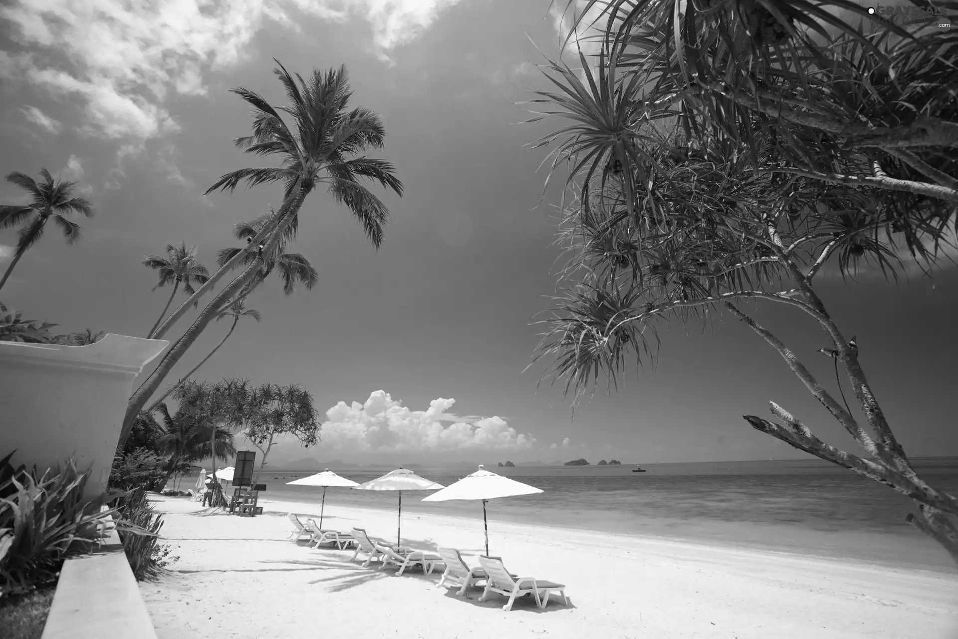 Tropical, holiday, Beaches, deck chair, Ocean