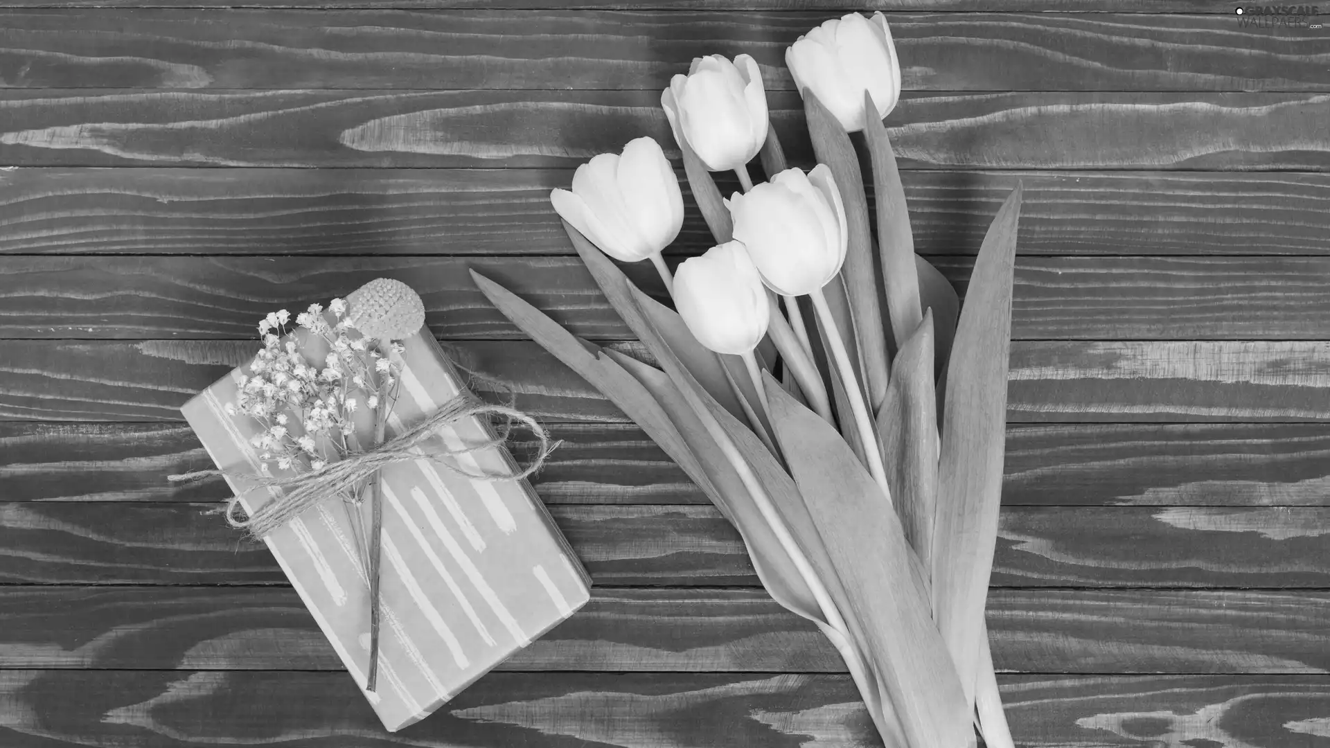 White, bouquet, Present, Tulips