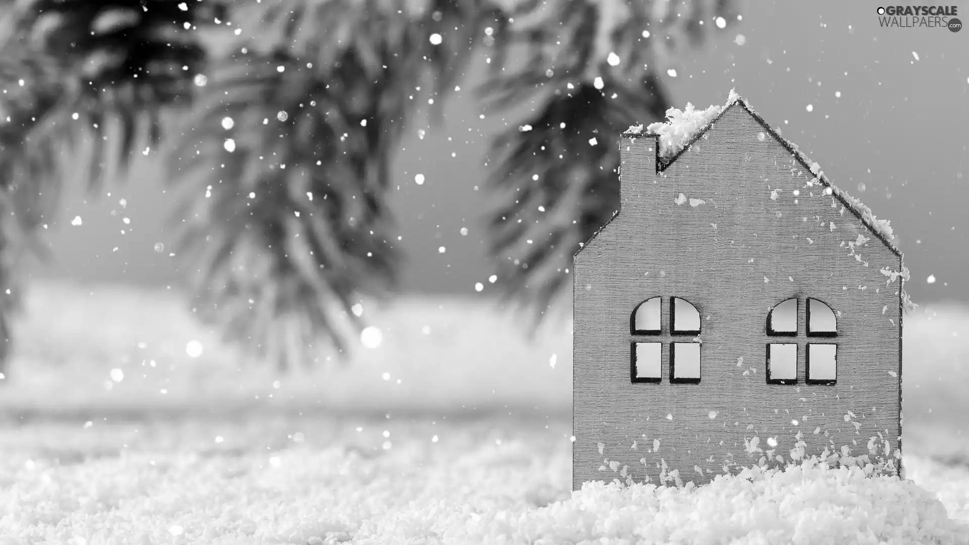snow, Twigs, Christmas, Home, decoration