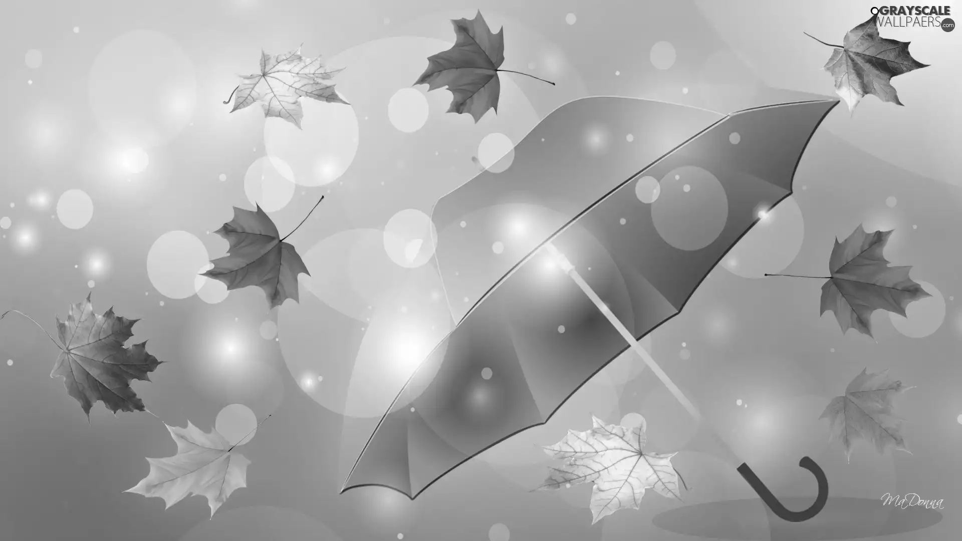 Umbrella, Autumn, Leaf