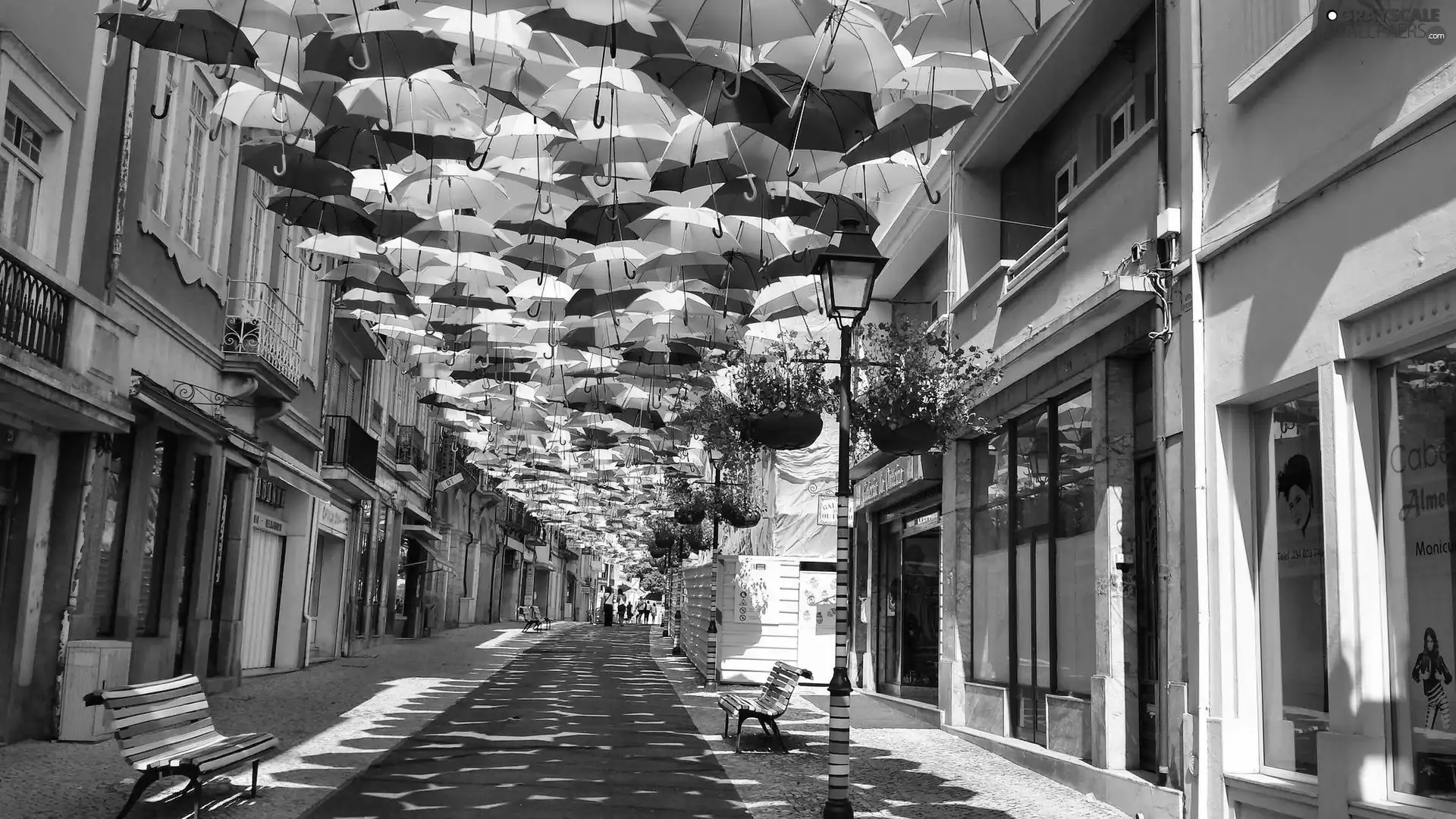 Town, color, umbrellas, Street