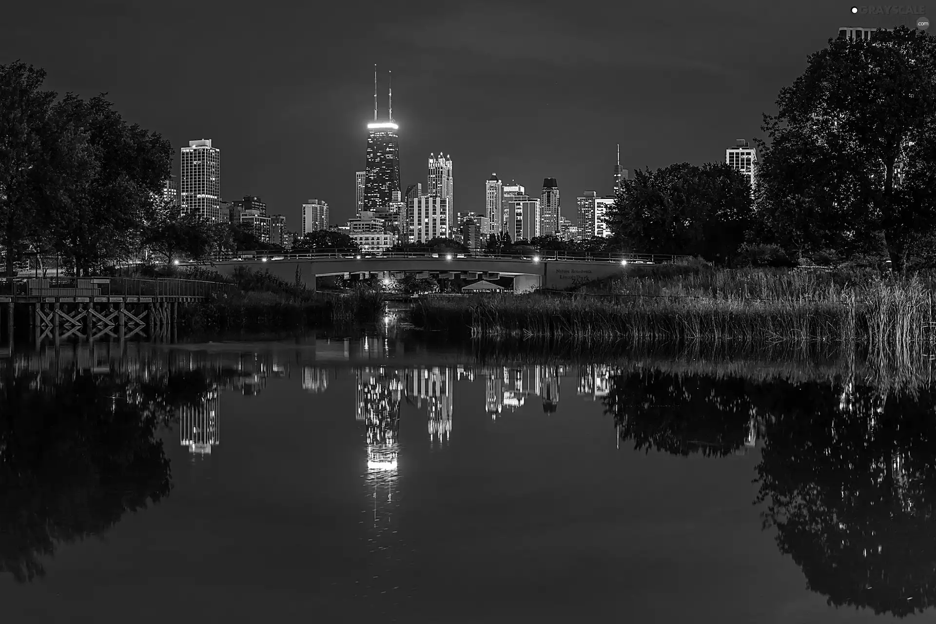 USA, Chicago, bridge, Night, skyscrapers, Lincoln Park