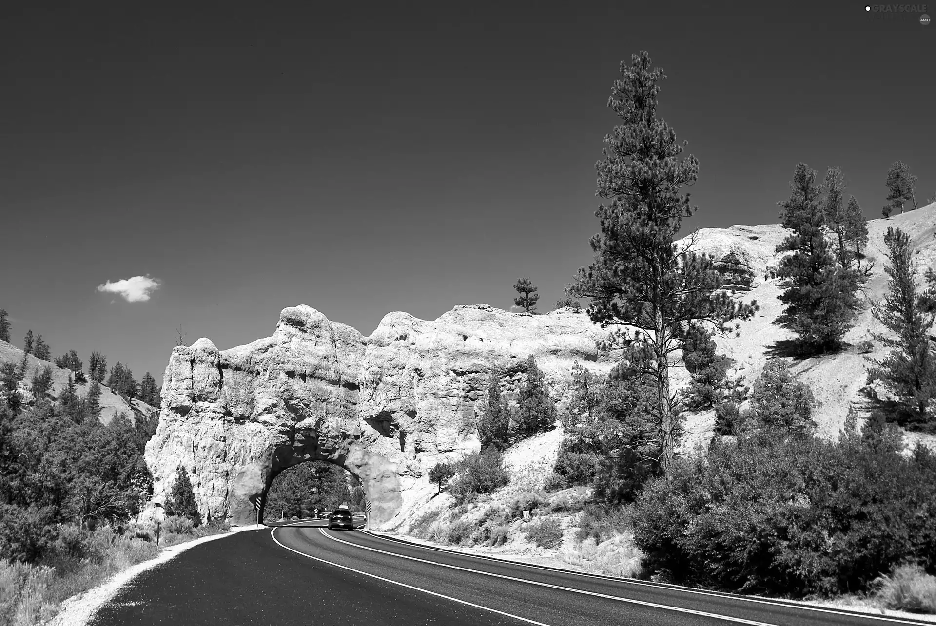 Way, Utah, USA, Red Canyon
