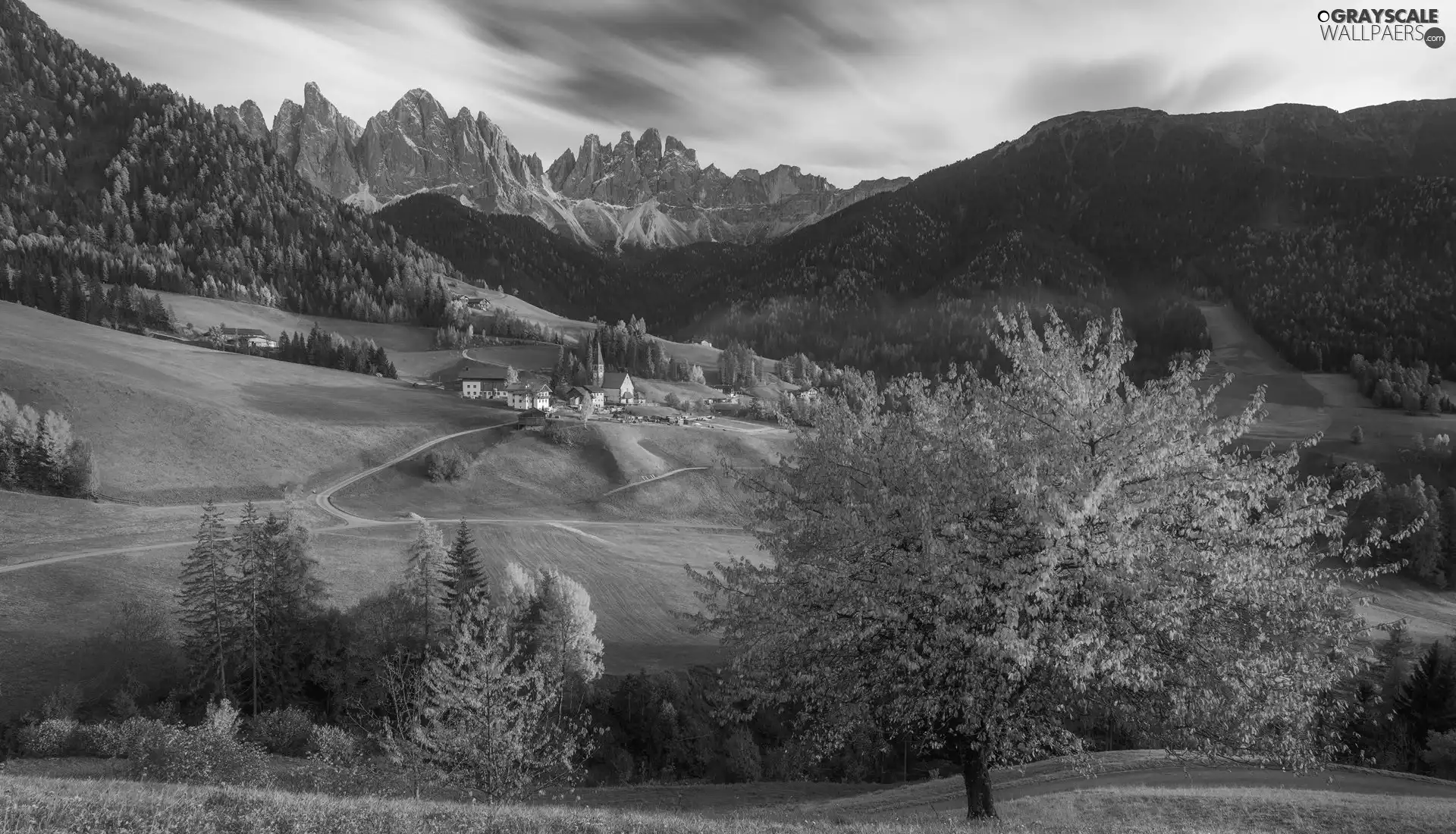 viewes, Autumn, Way, country, Italy, autumn, Dolomites, woods, Santa Maddalena, Mountains, trees, Houses, Val di Funes Valley