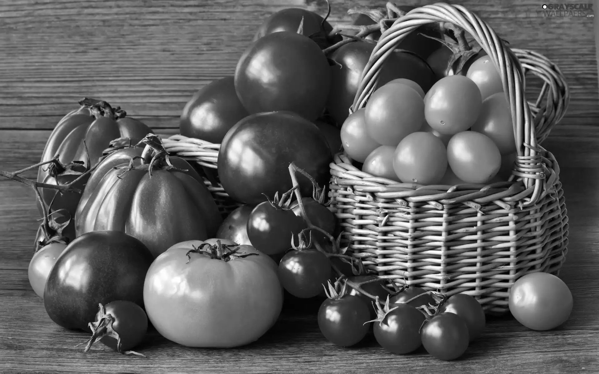 Variations, basket, tomatoes, different, color