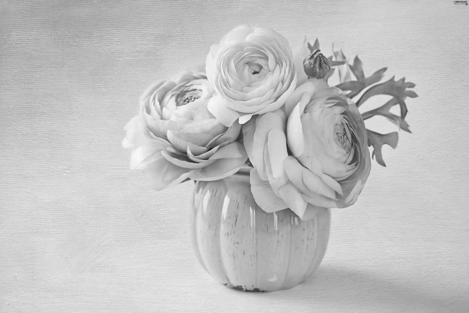 vase, Flowers, begonia