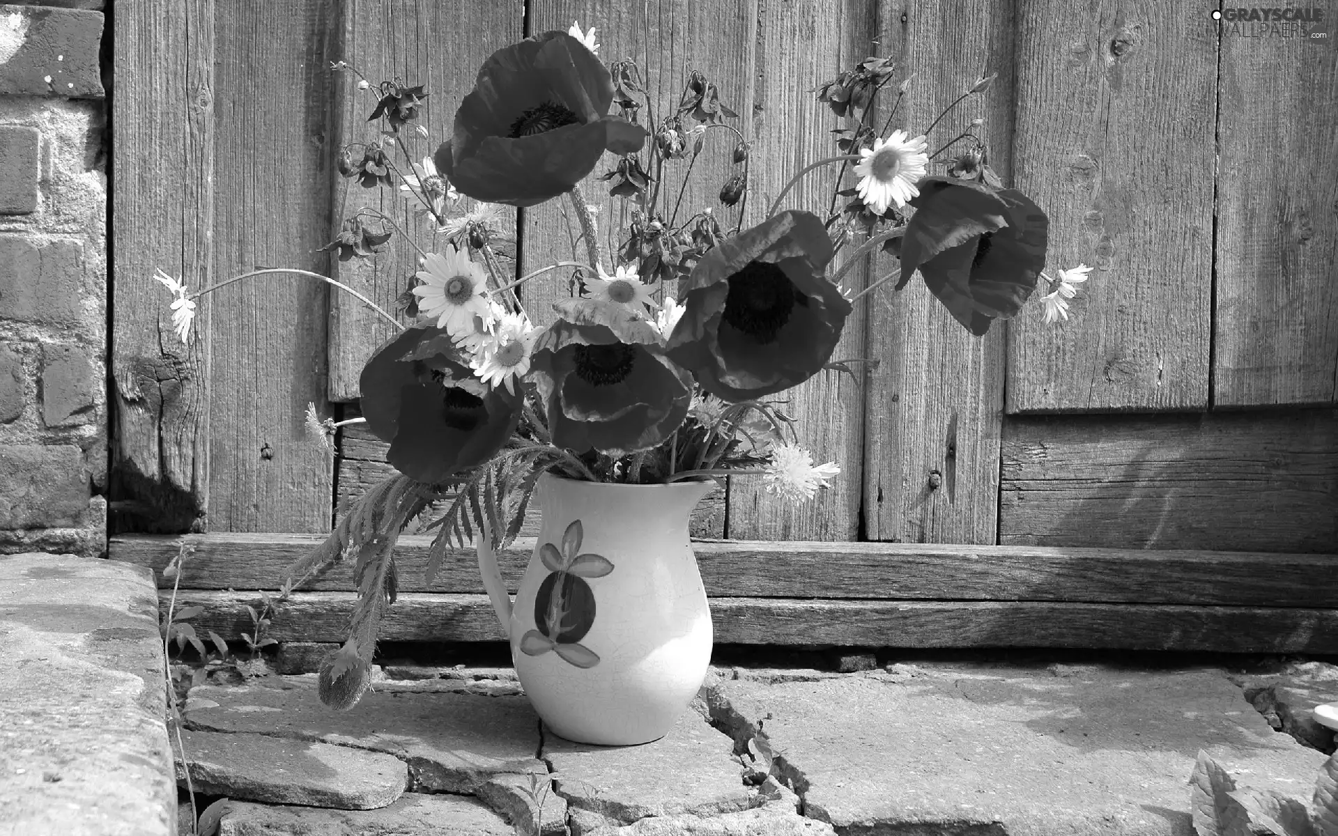 Vase, bouquet, papavers