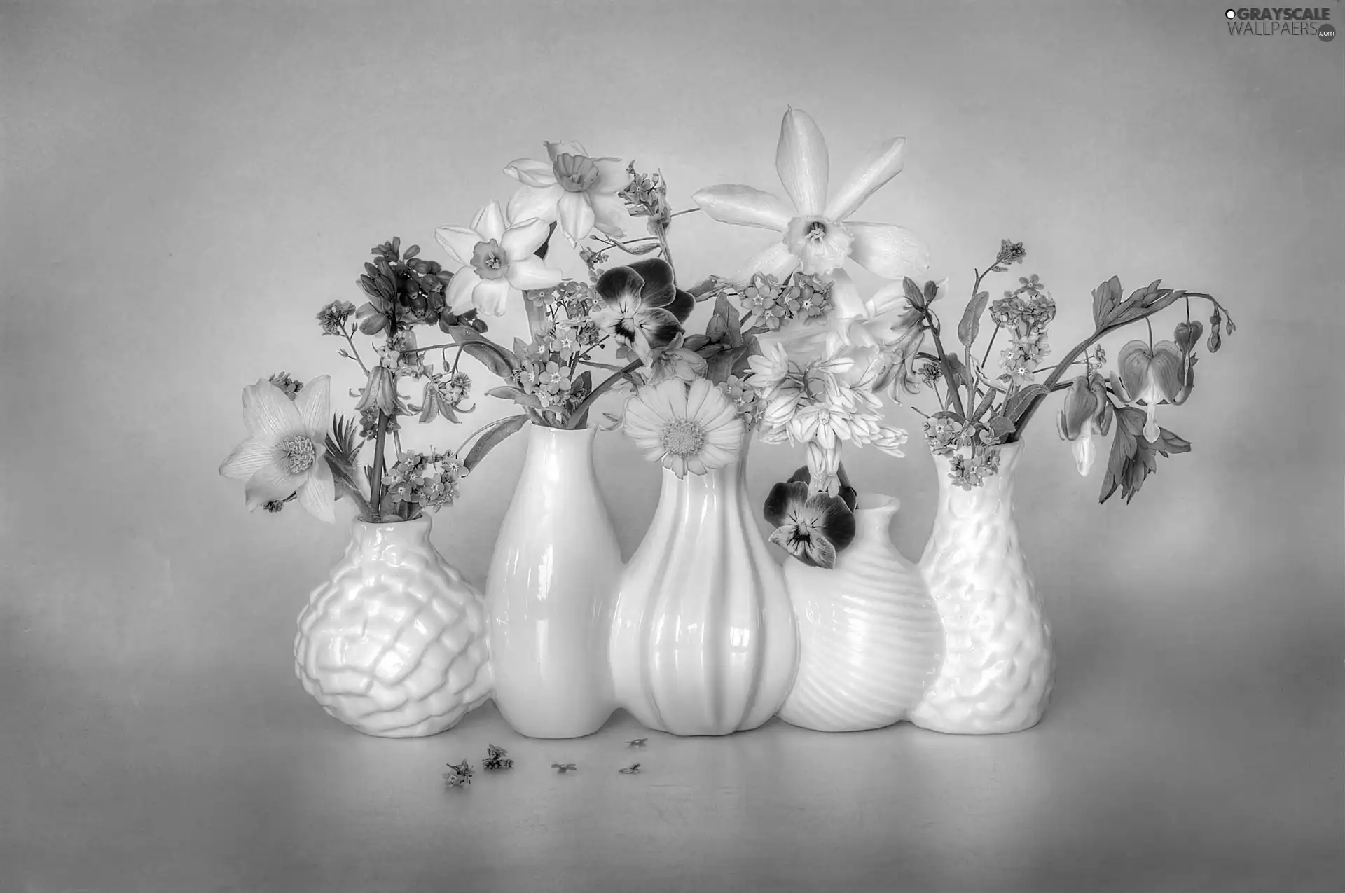 Bouquets of Flowers, decoration, vases