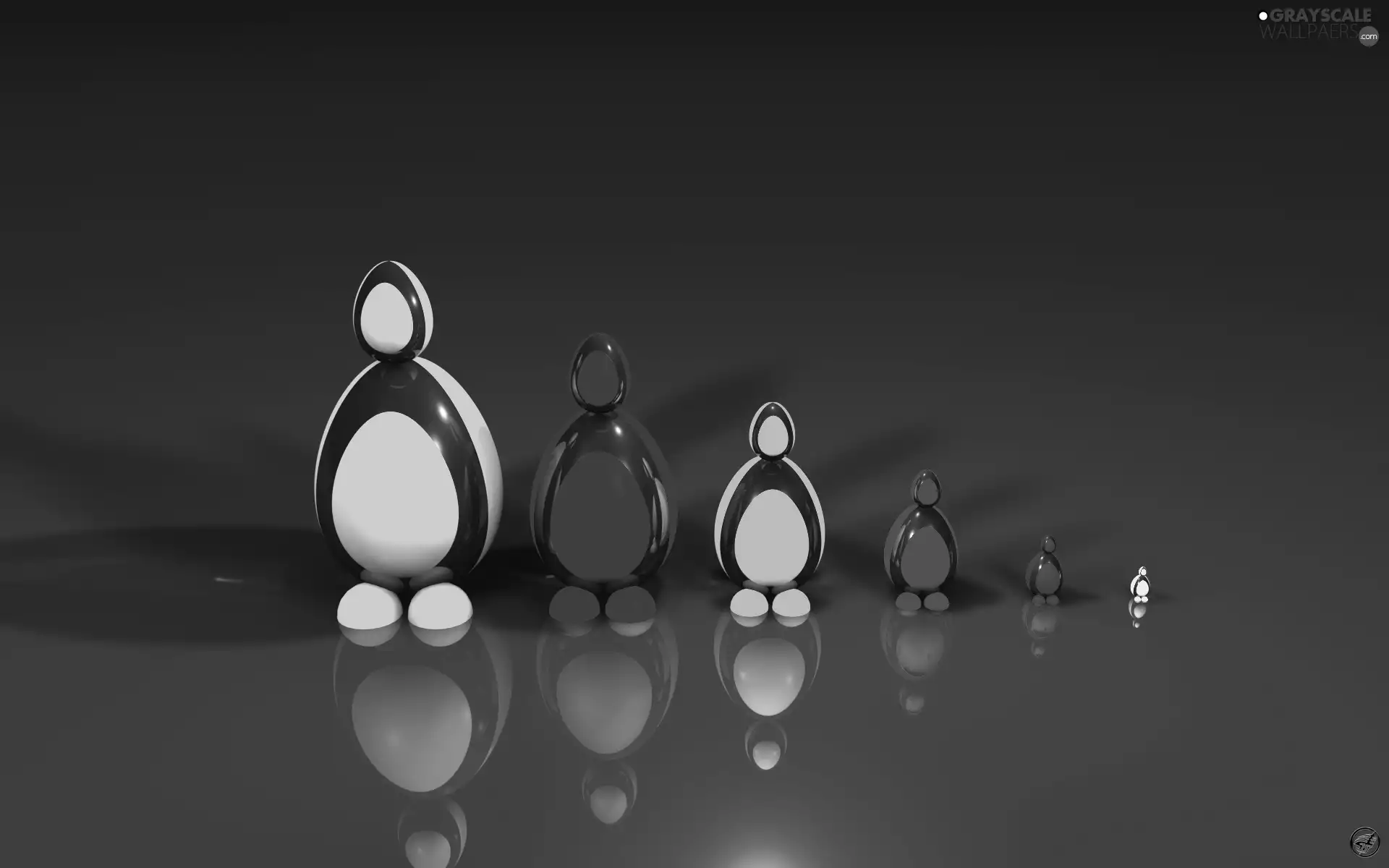 penguin, 3D Graphics, Vectorial