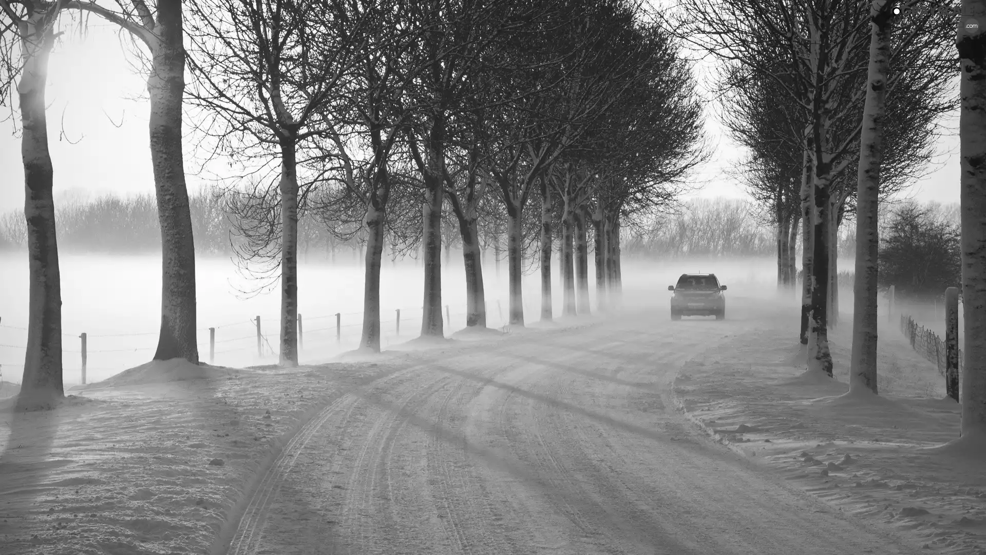 Way, winter, viewes, Automobile, trees, snow