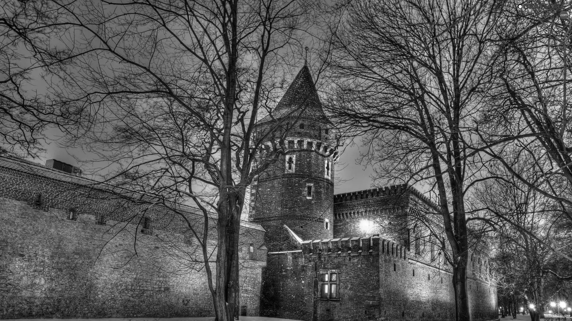 Castle, trees, viewes, winter