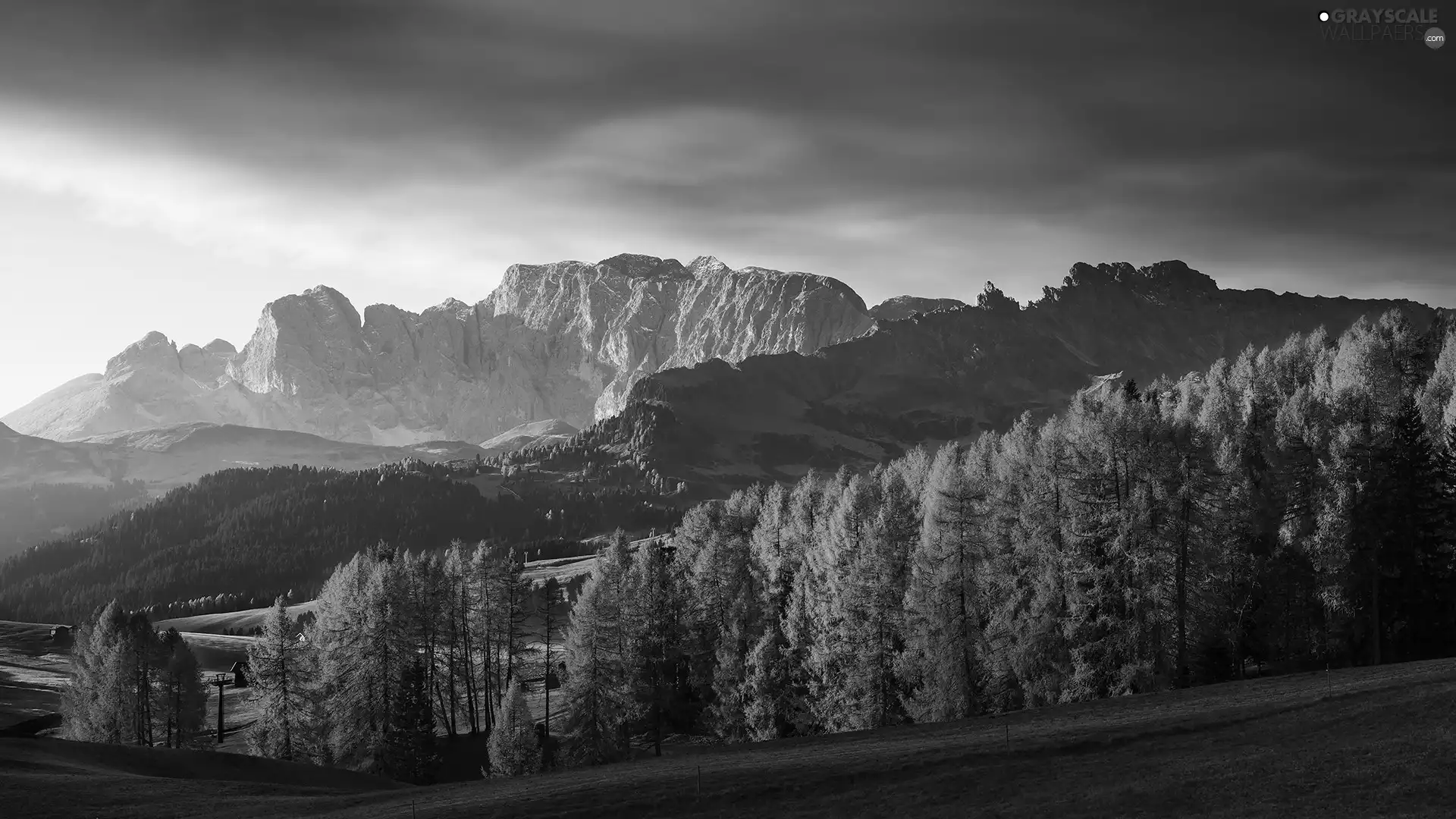 Dolomites, forest, clouds, trees, autumn, Mountains, Italy, viewes