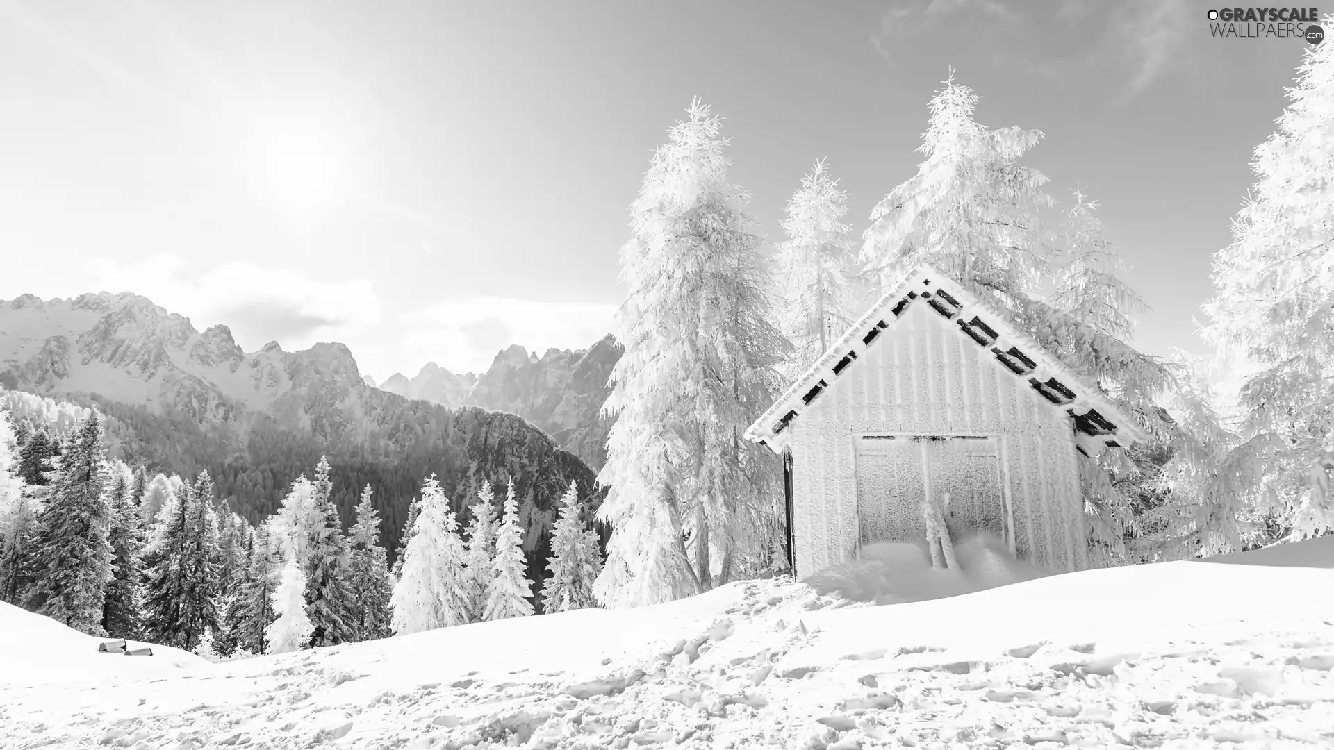 forest, Snowy, cote, trees, house, Mountains, winter, viewes