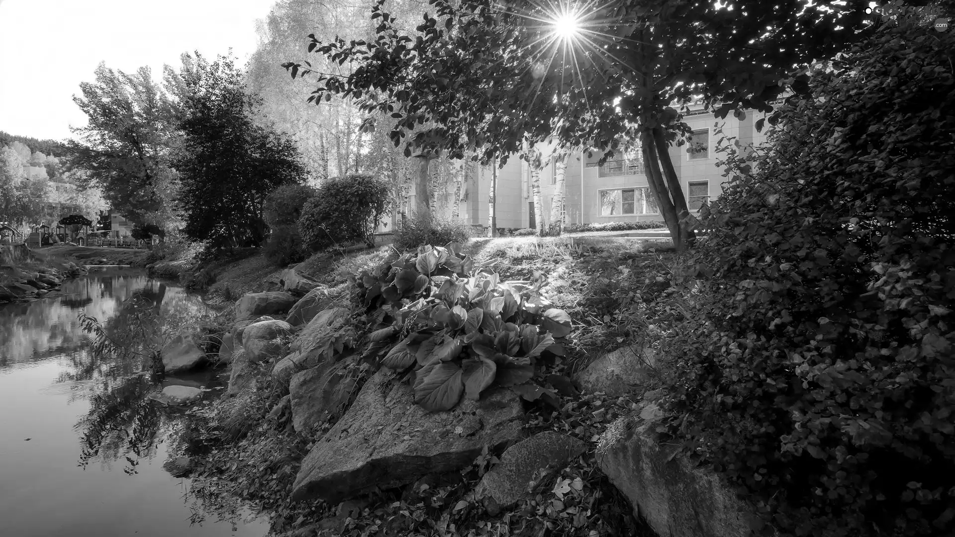 Stones, trees, rays of the Sun, viewes, House, brook, Park, Plants