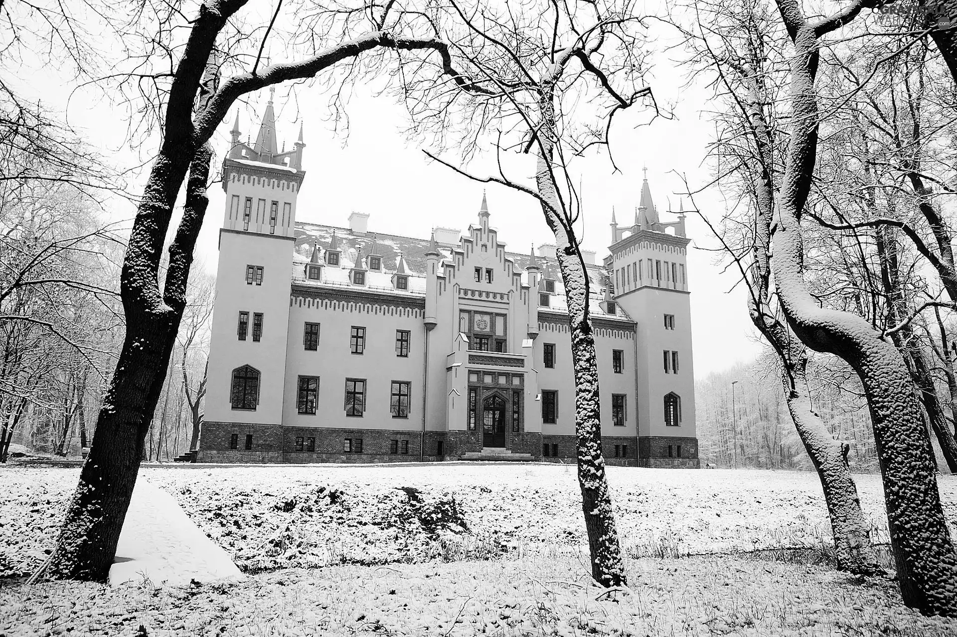 palace, trees, viewes, snow