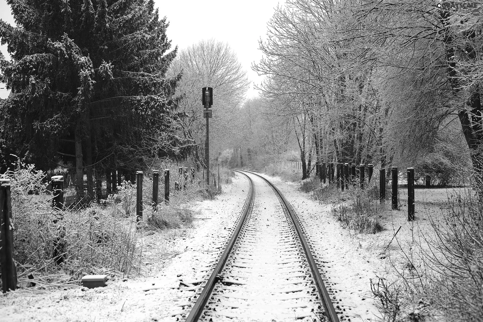 winter, viewes, Railroad Tracks, trees