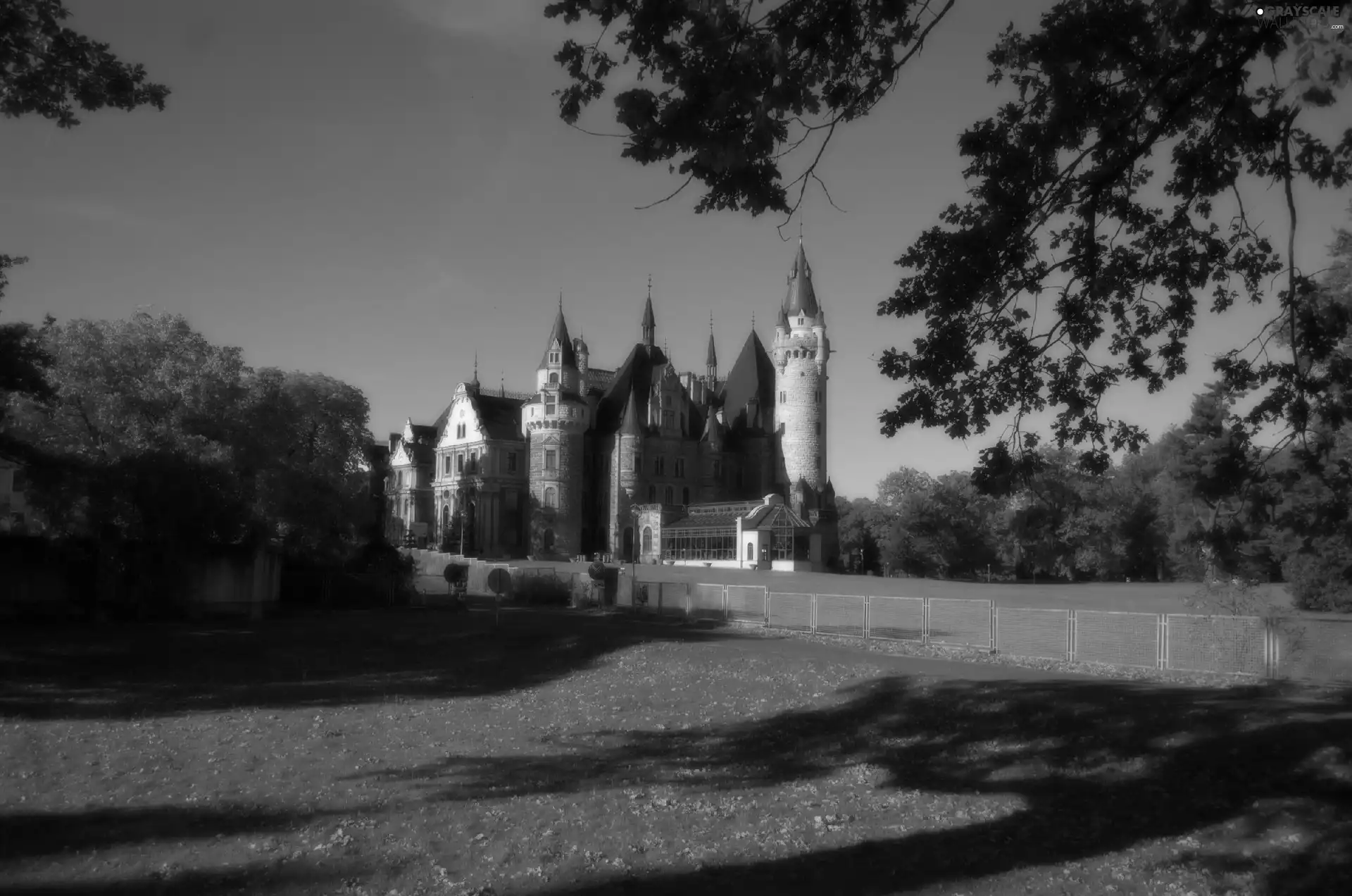 Towers, Castle, viewes, shadows, trees, scrotum