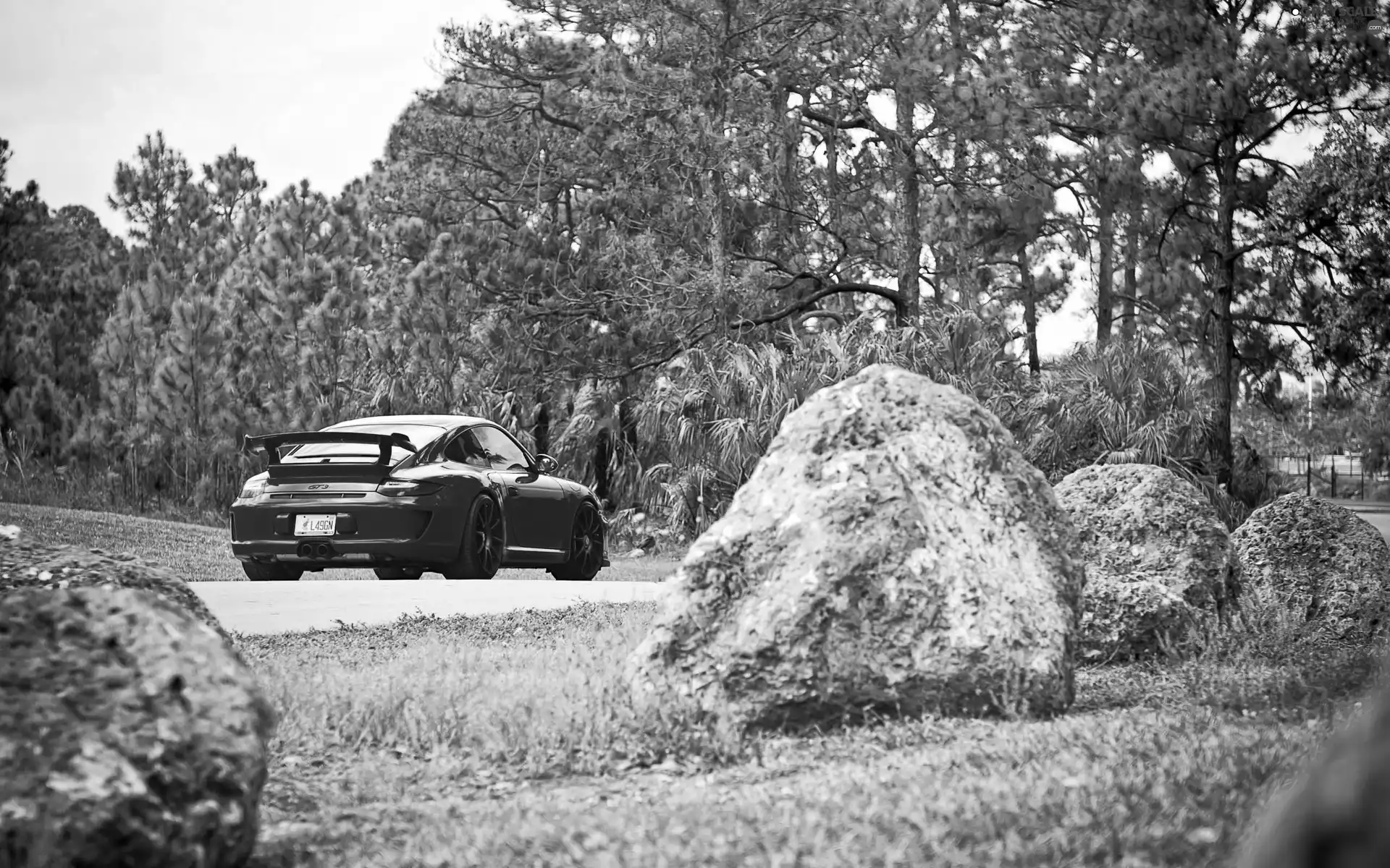 911, Red, viewes, Stones, trees, Porsche