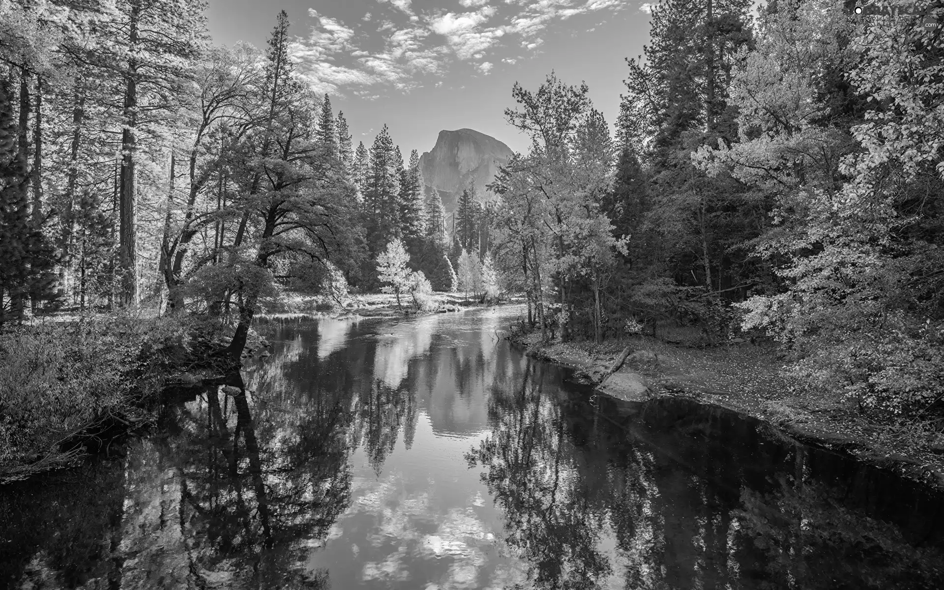 California, The United States, Yosemite National Park, autumn, viewes, Leaf, Merced River, trees, Mountains