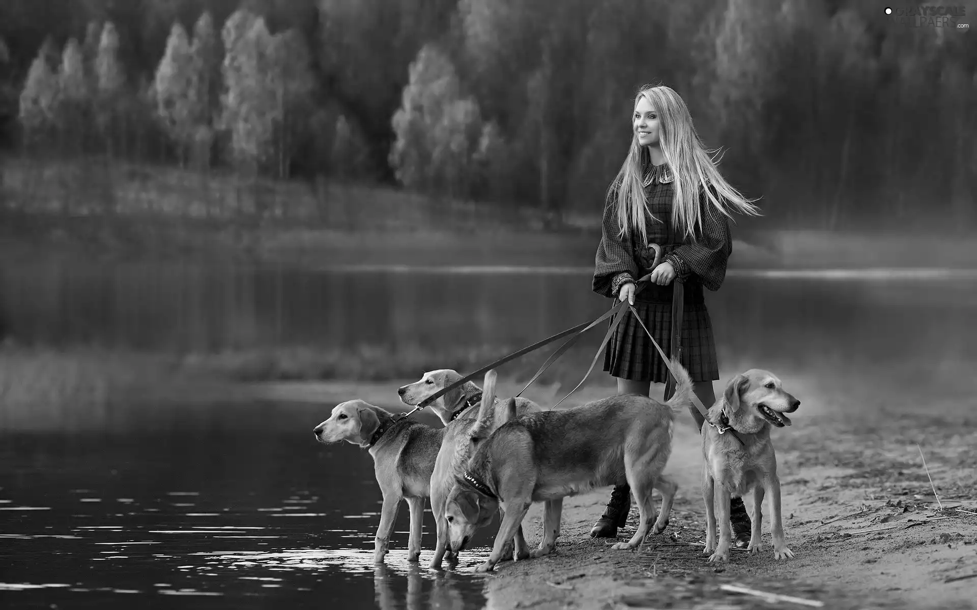 Dogs, Women, water, hunting
