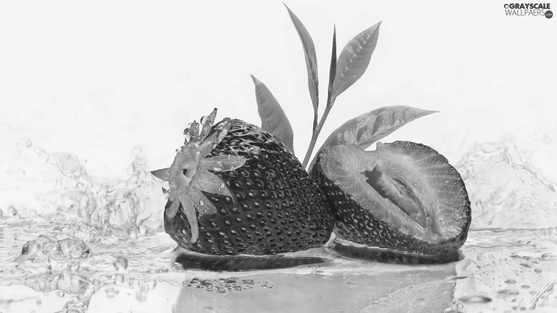 Fruits, leaf, water, Strawberry