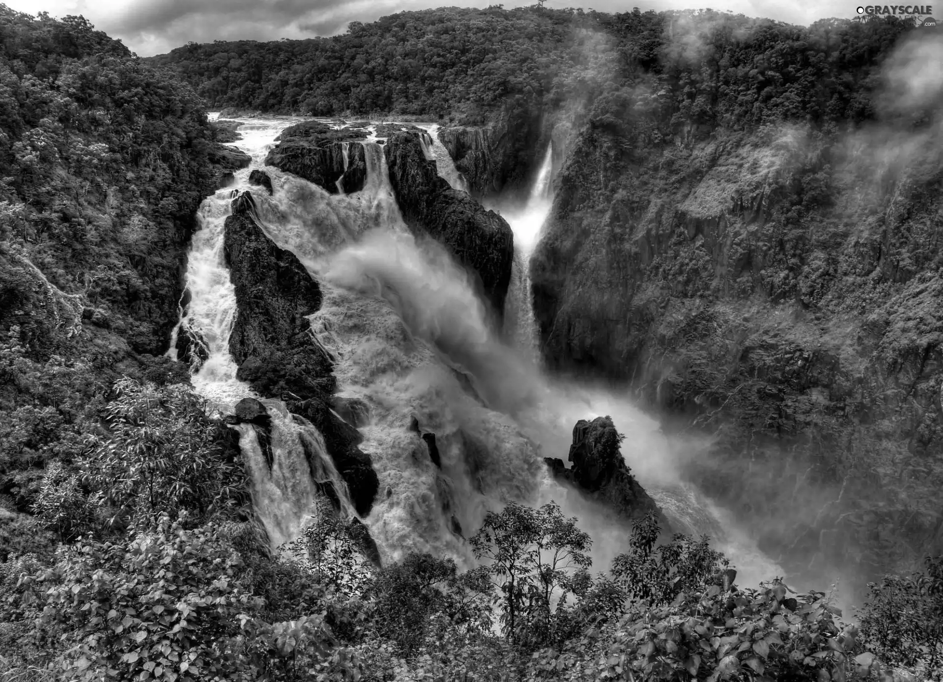 jungle, rocks, waterfall, River