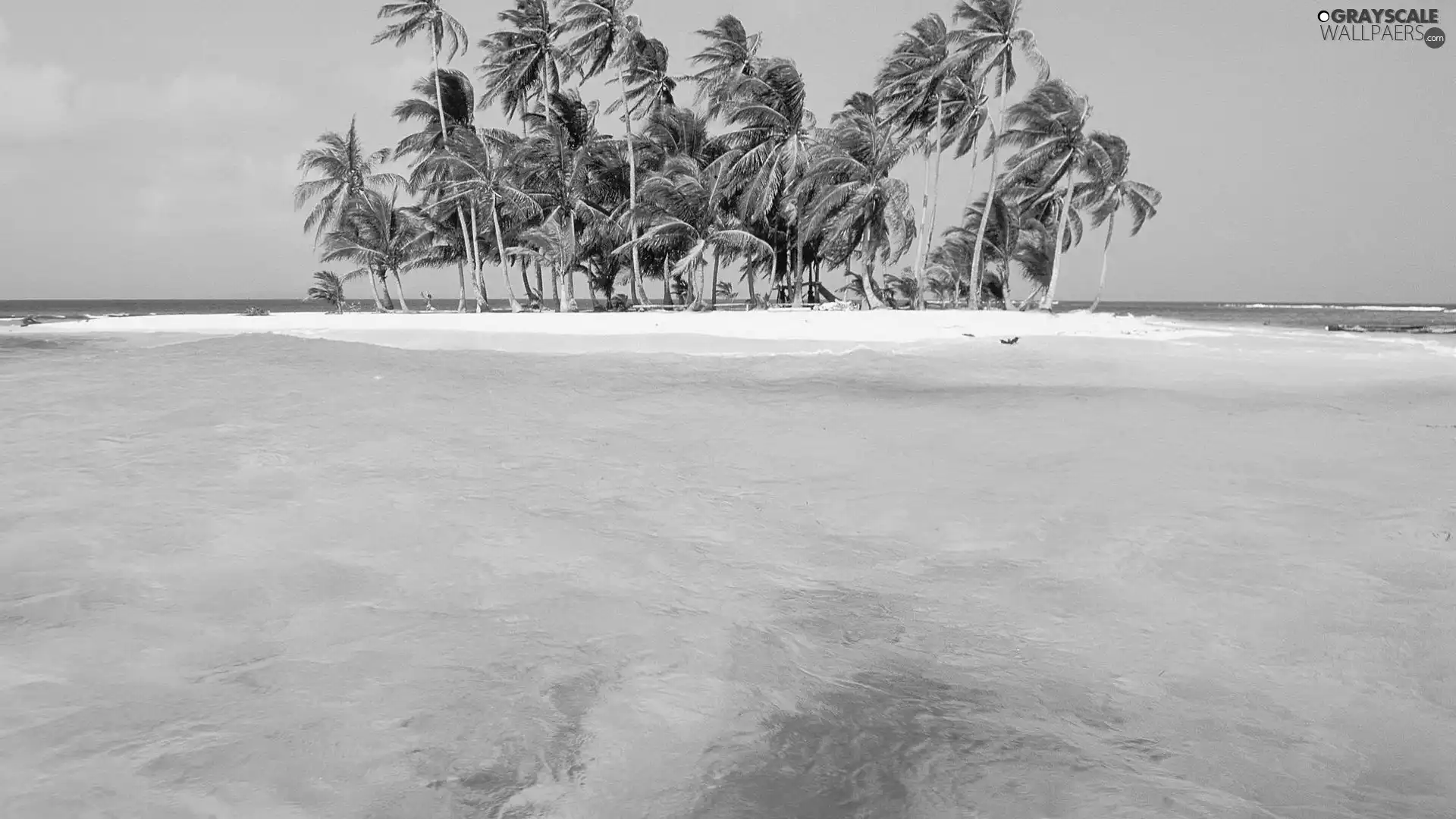 Island, sea, Waves, Palms