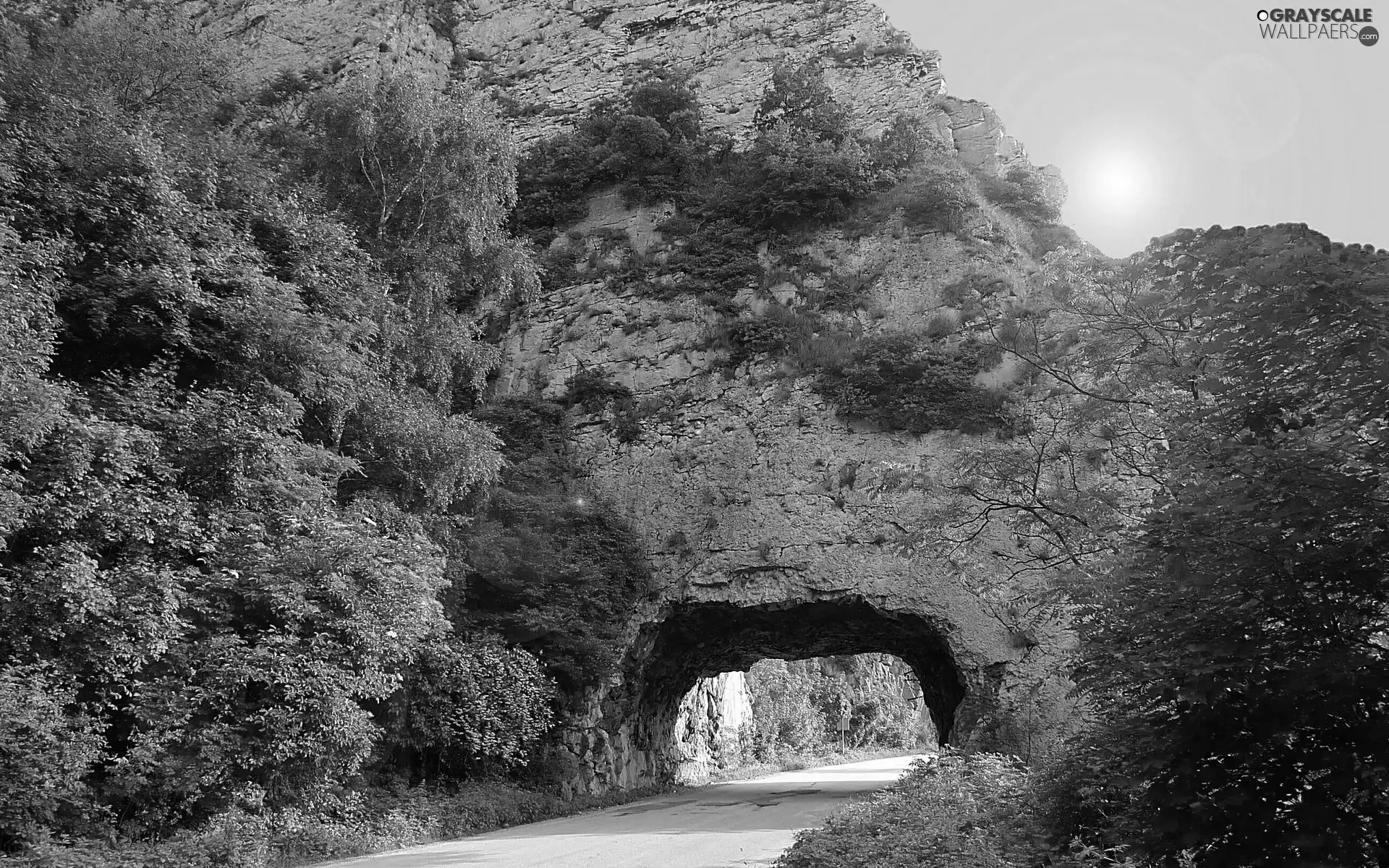Way, tunnel, trees, viewes, Rocks