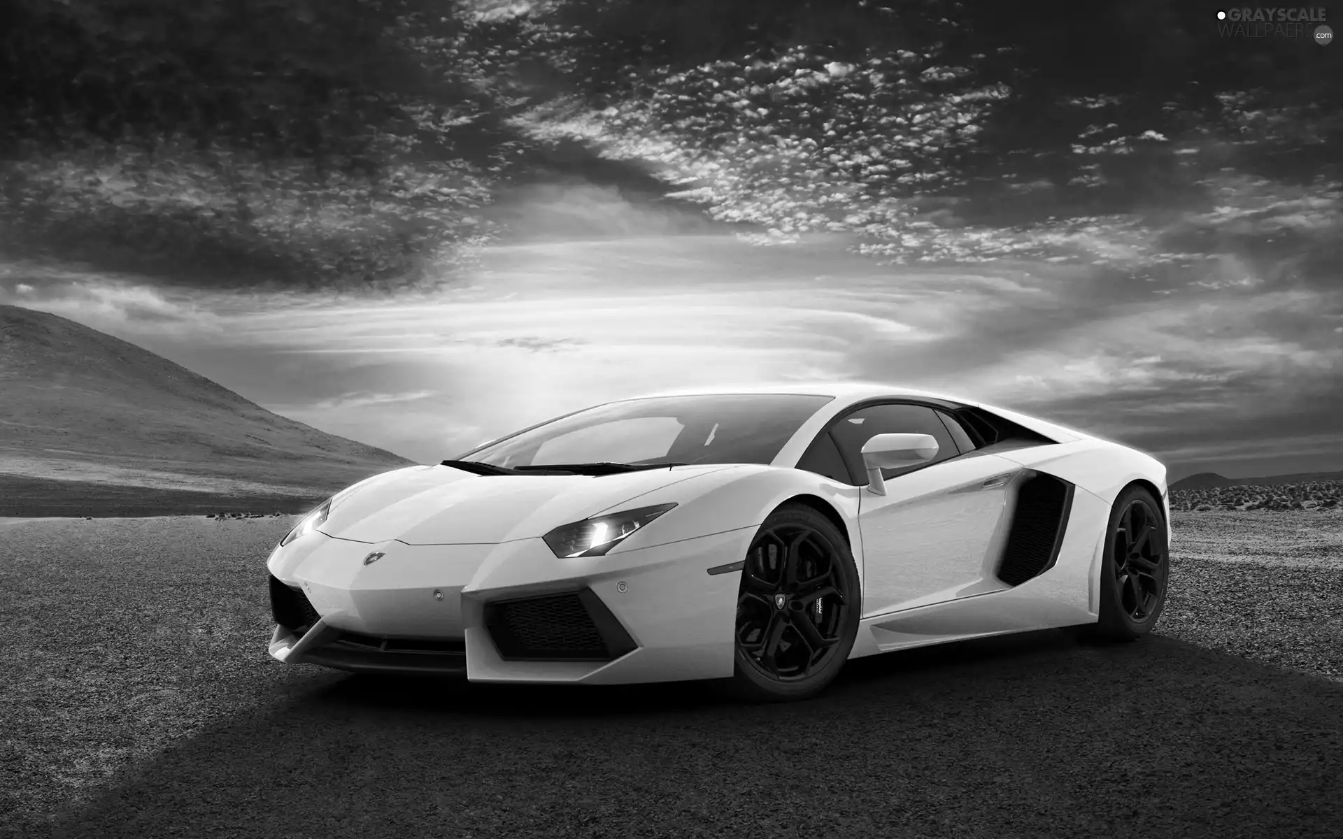 White, Aventador, Way, Lamborghini