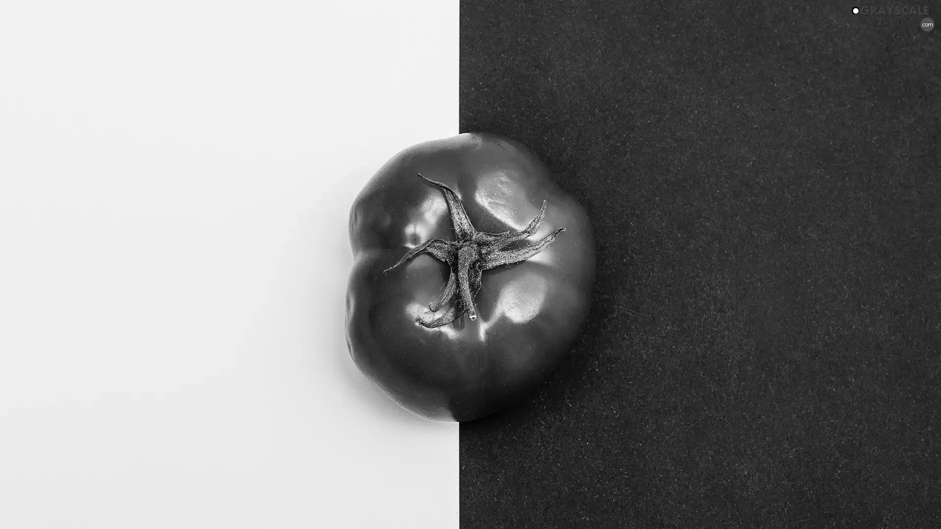 background, tomato, White-Black