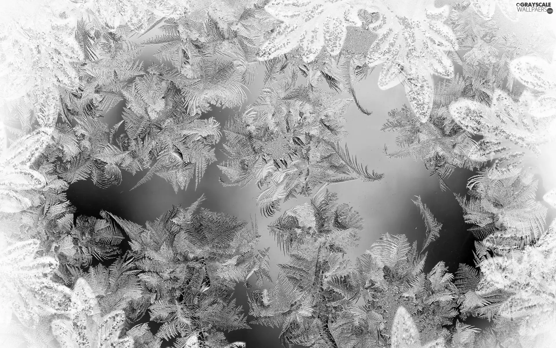 winter, Window, White frost