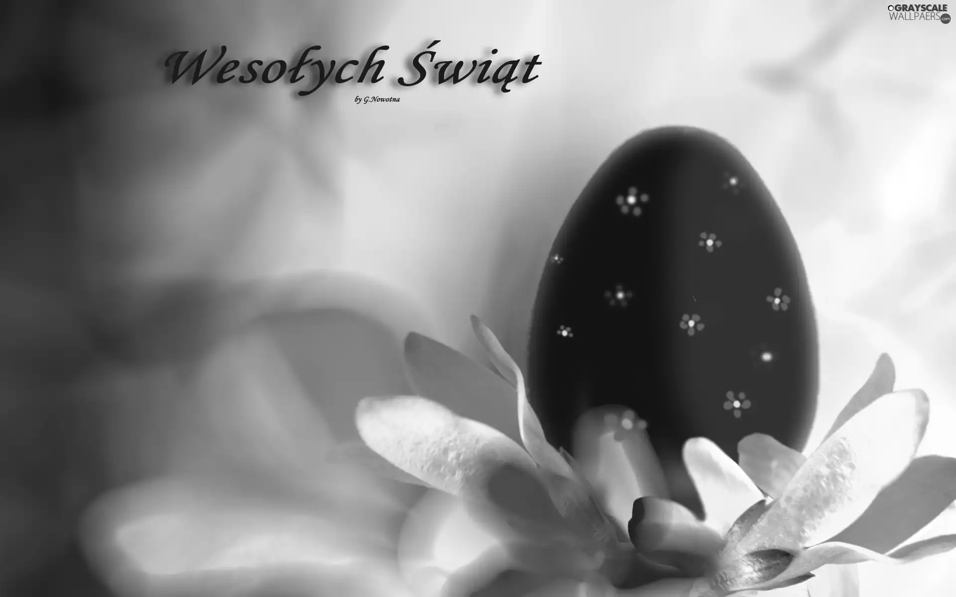 Easter, wallpaper, Widescreen, egg