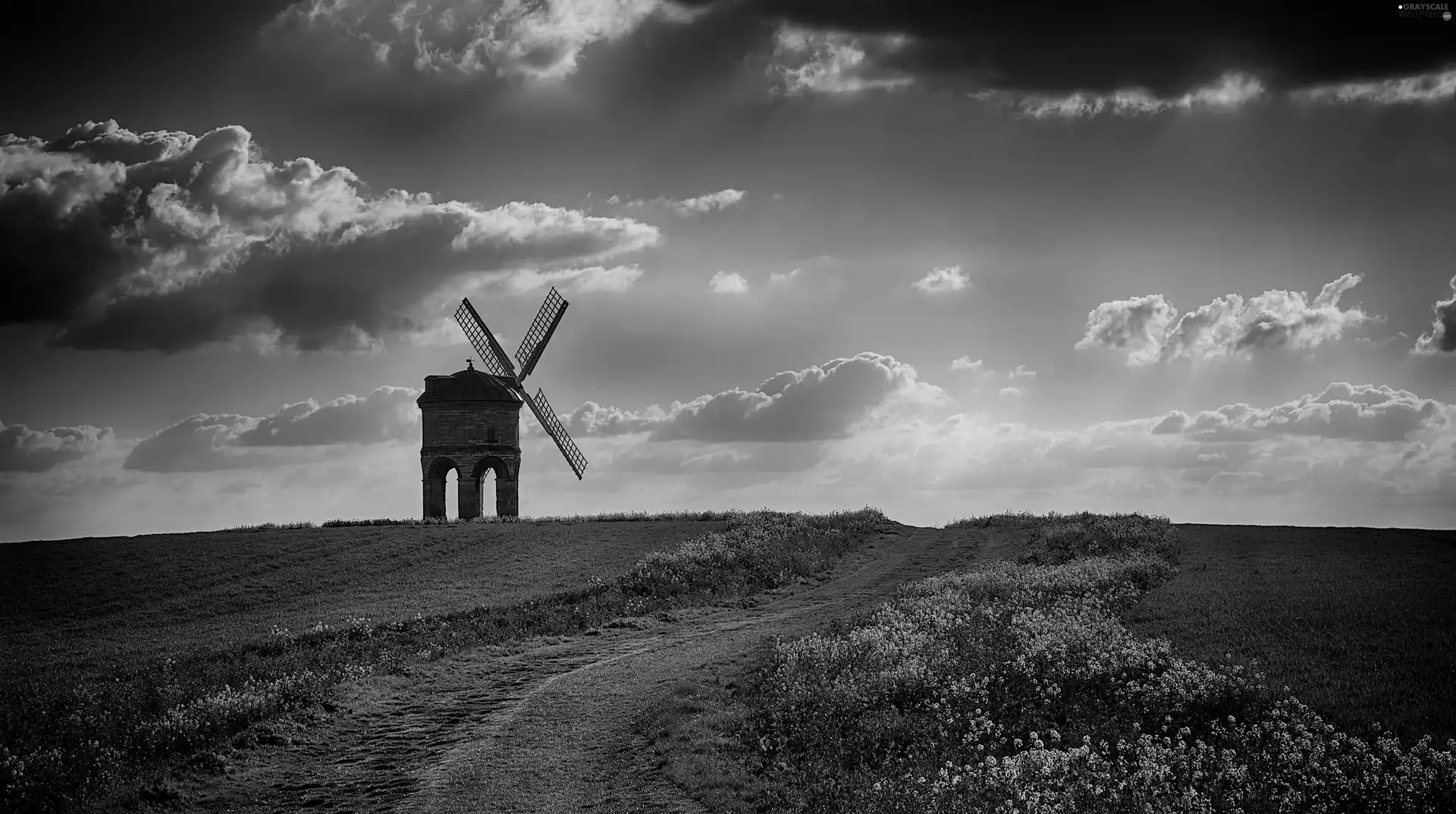 Windmill, Field, Path