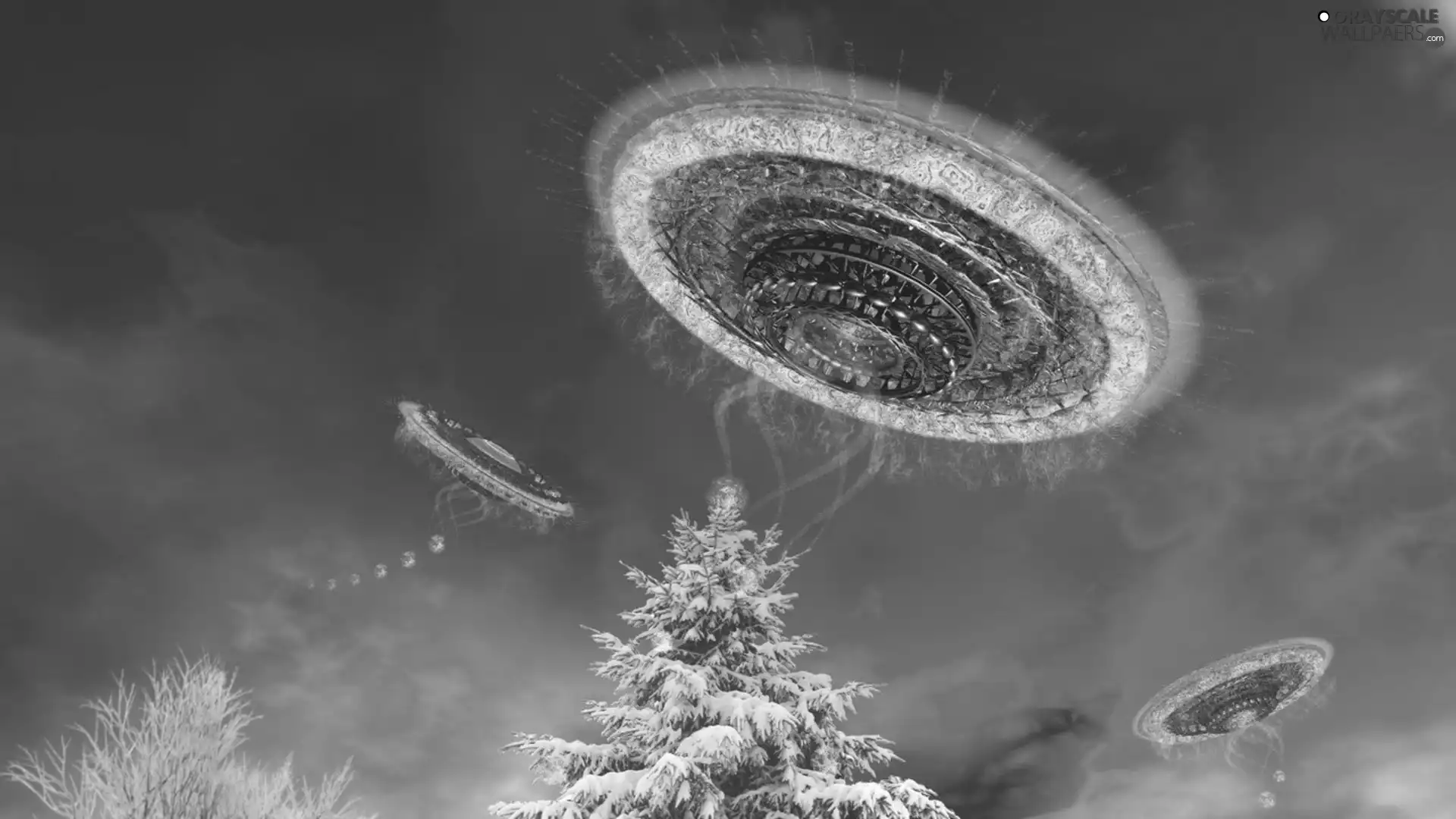 ufo, christmas tree, winter