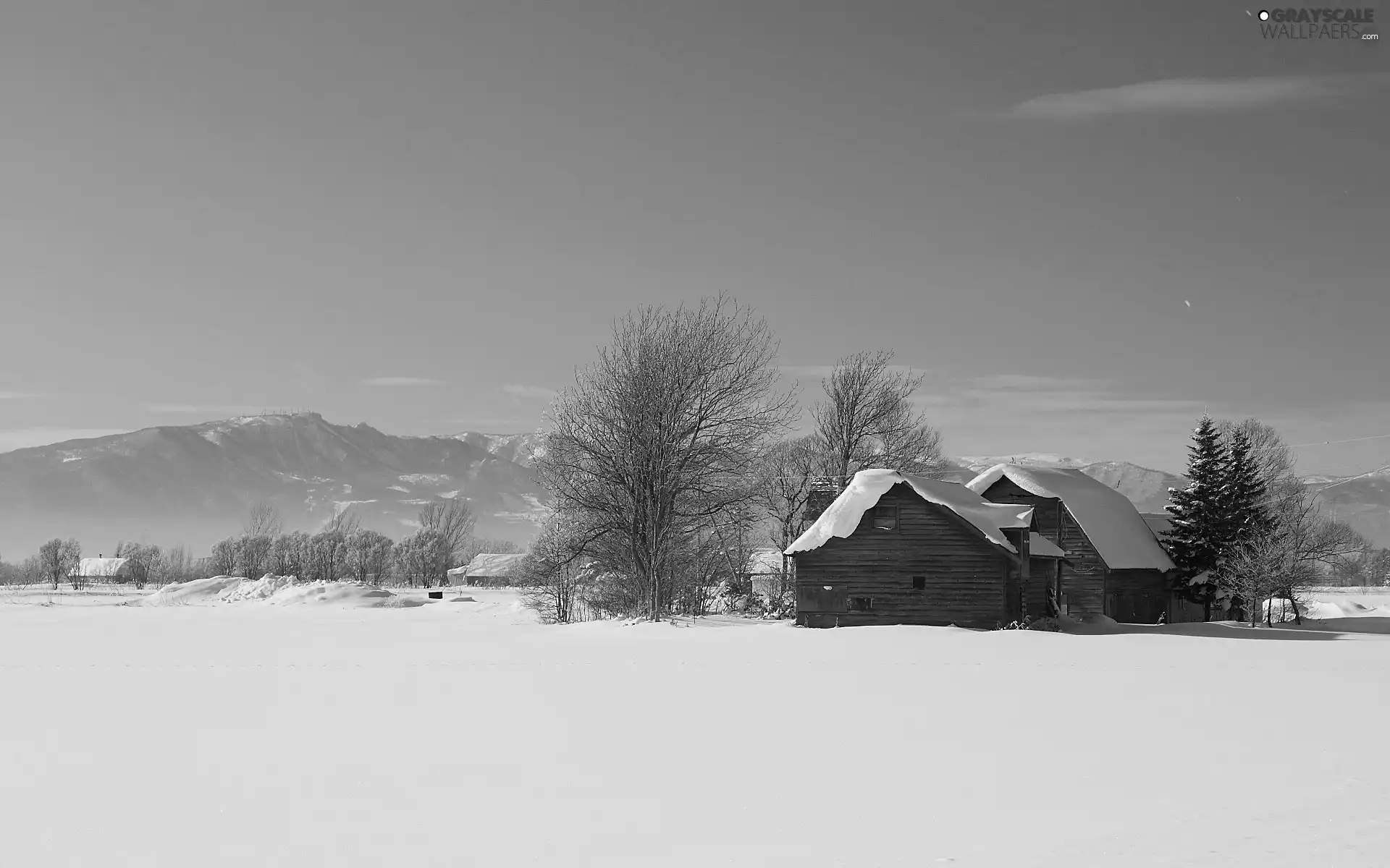 field, Mountains, winter, Houses