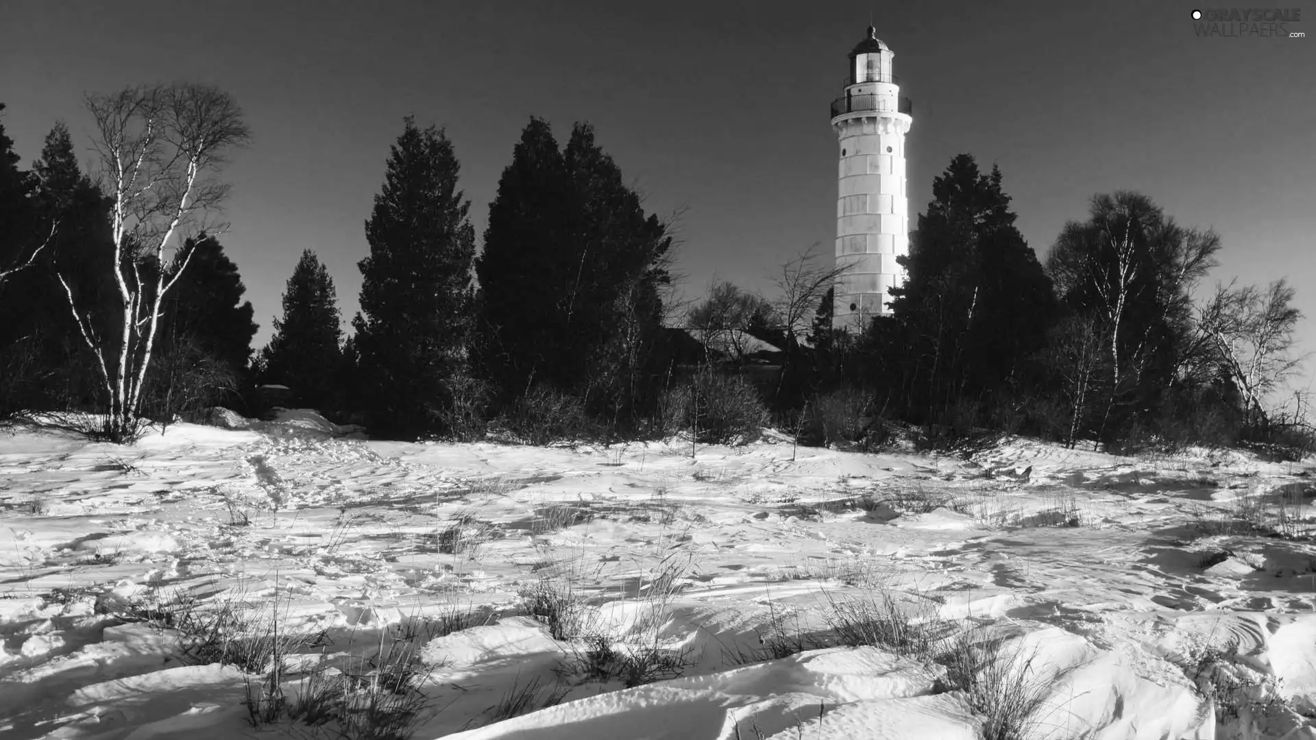 Lighthouses, viewes, winter, trees