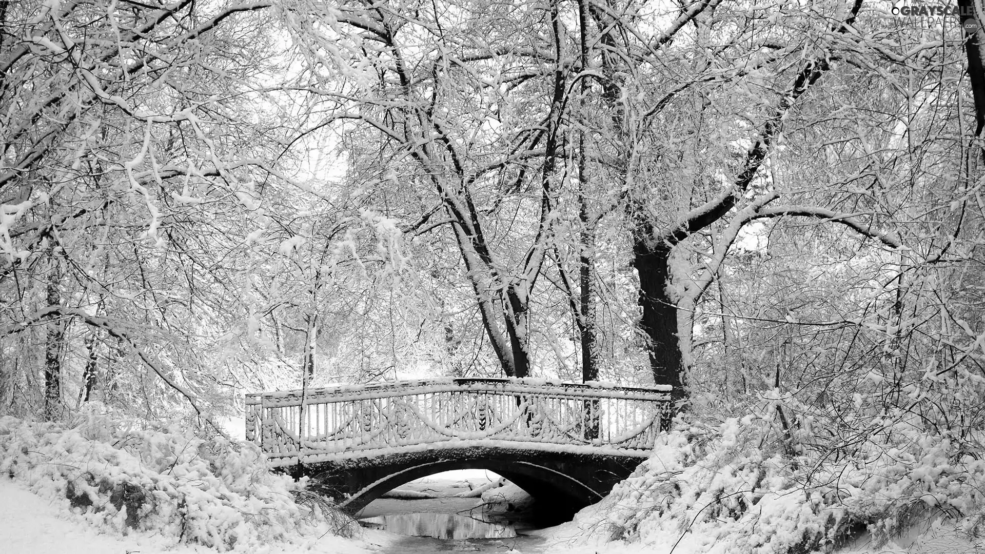 River, Park, winter, bridges