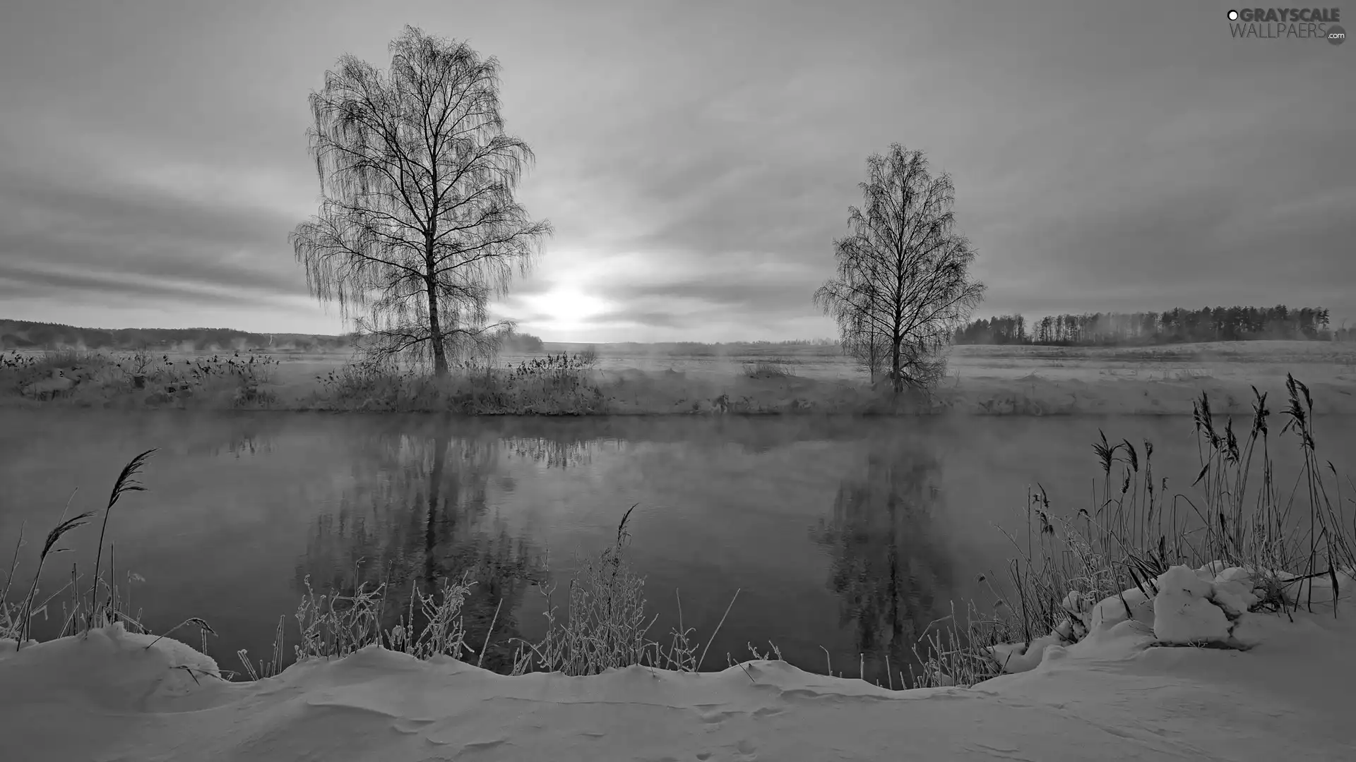 grass, snow, sun, lake, east, viewes, trees, winter