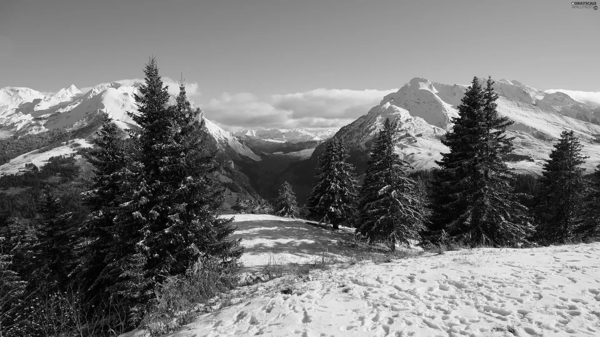 trees, snow, Mountains, winter, viewes, traces